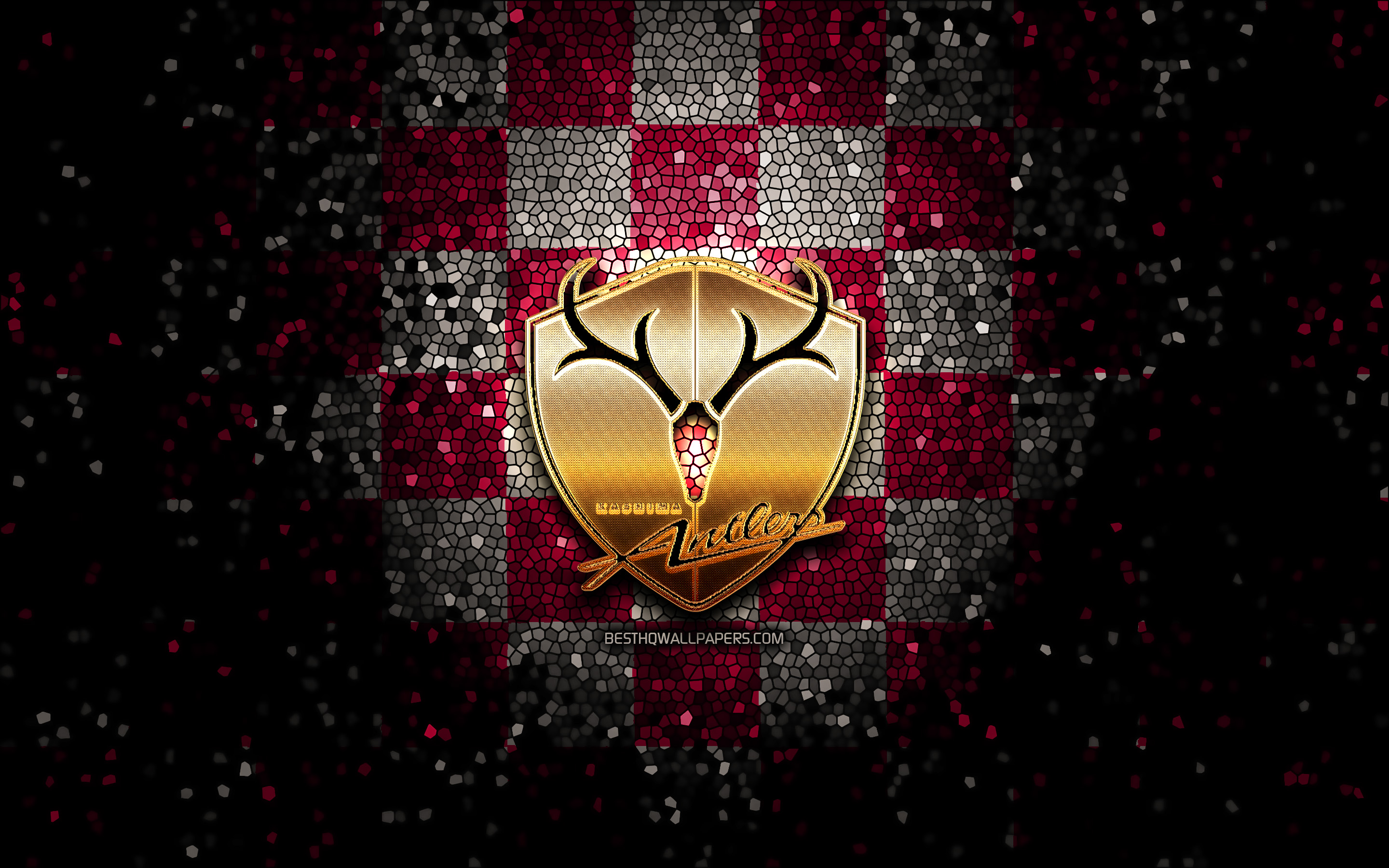 Kashima Antlers F.C. Wallpapers