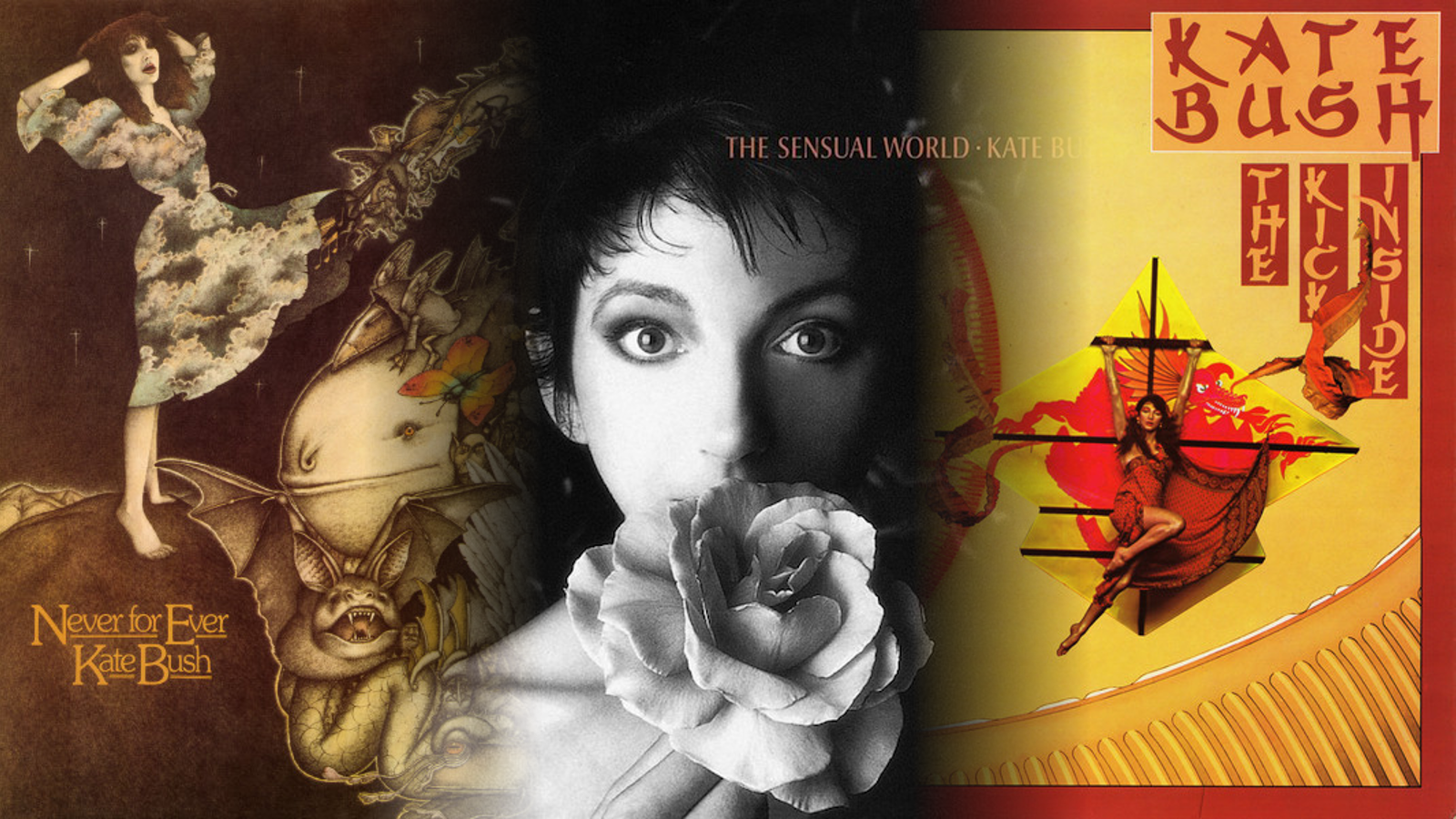 Kate Bush Wallpapers