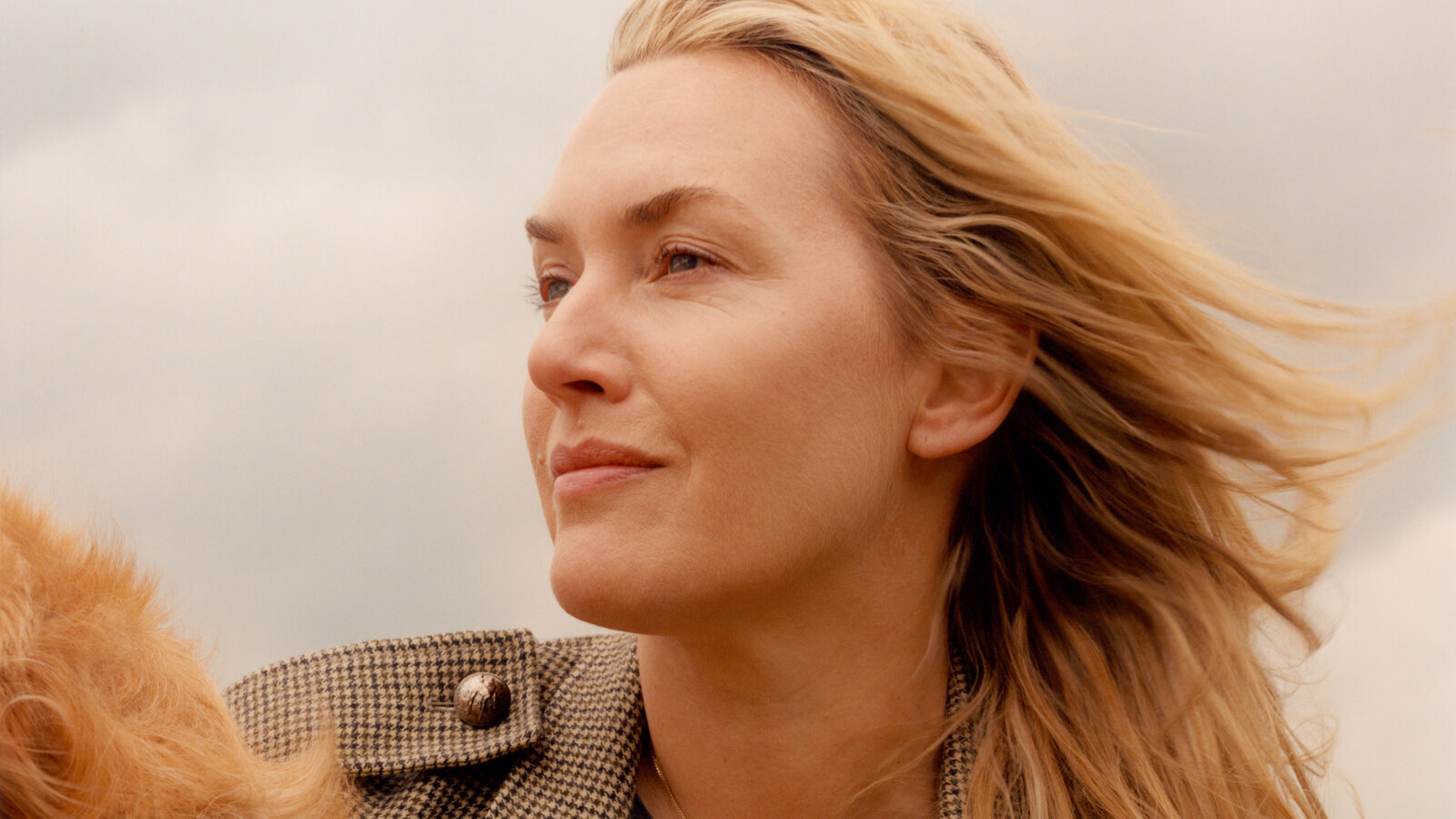 Kate Winslet New 2021 Wallpapers