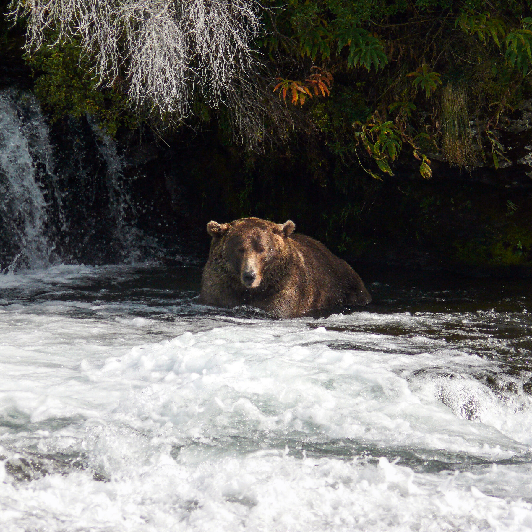 Katmai National Park And Preserve Wallpapers