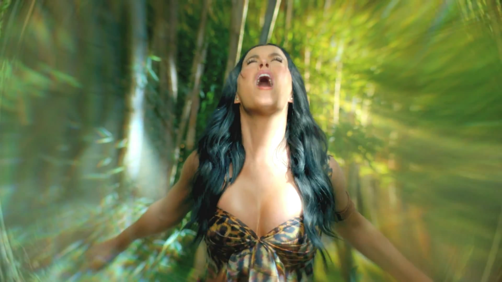 Katy Perry Roar Wallpapers