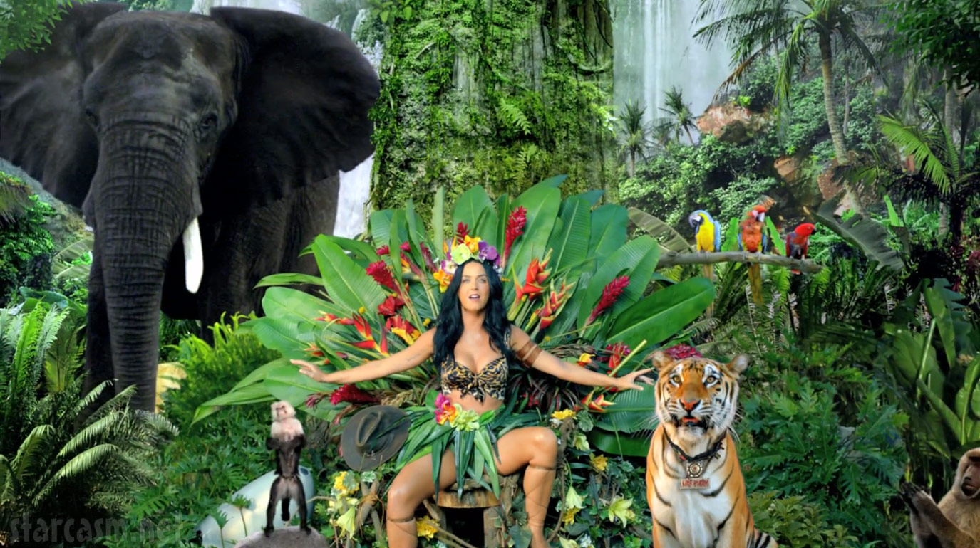 Katy Perry Roar Wallpapers