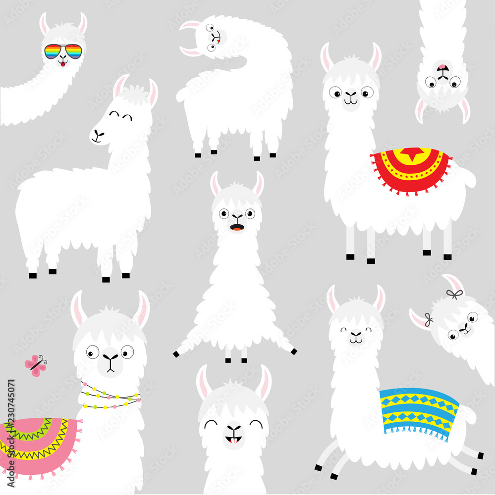 Kawaii Alpaca Wallpapers