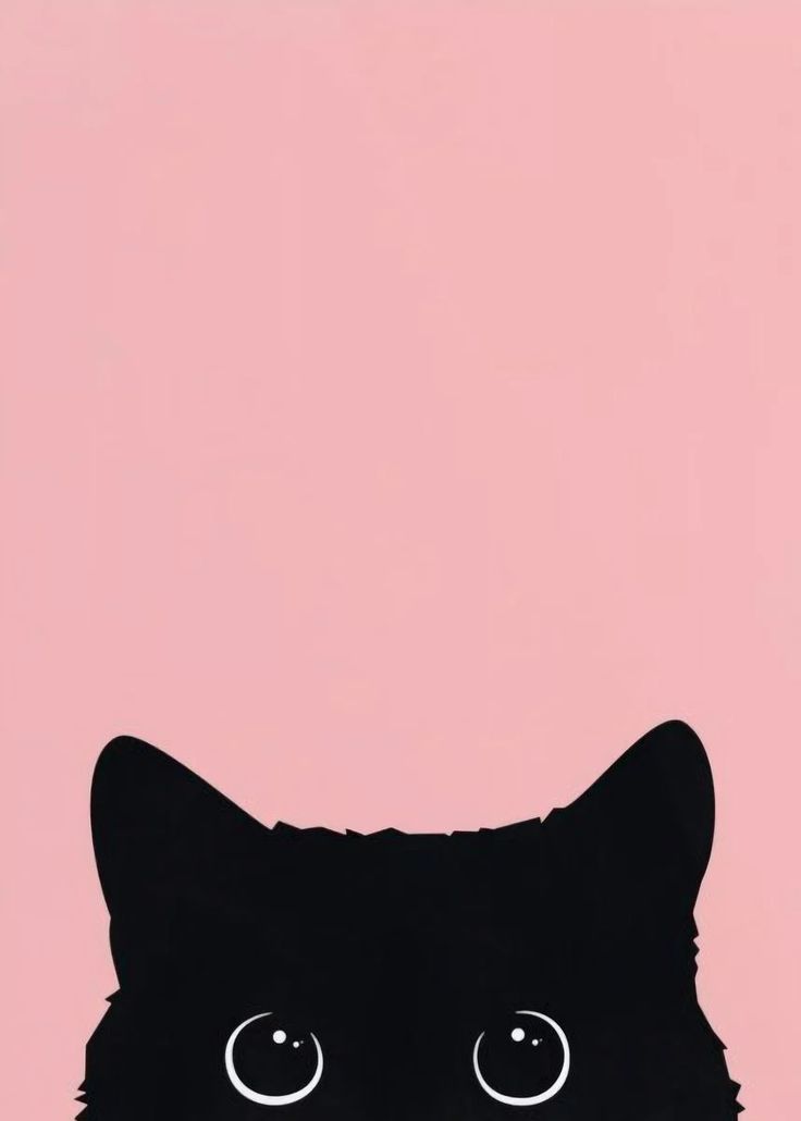 Kawaii Black Cat Wallpapers