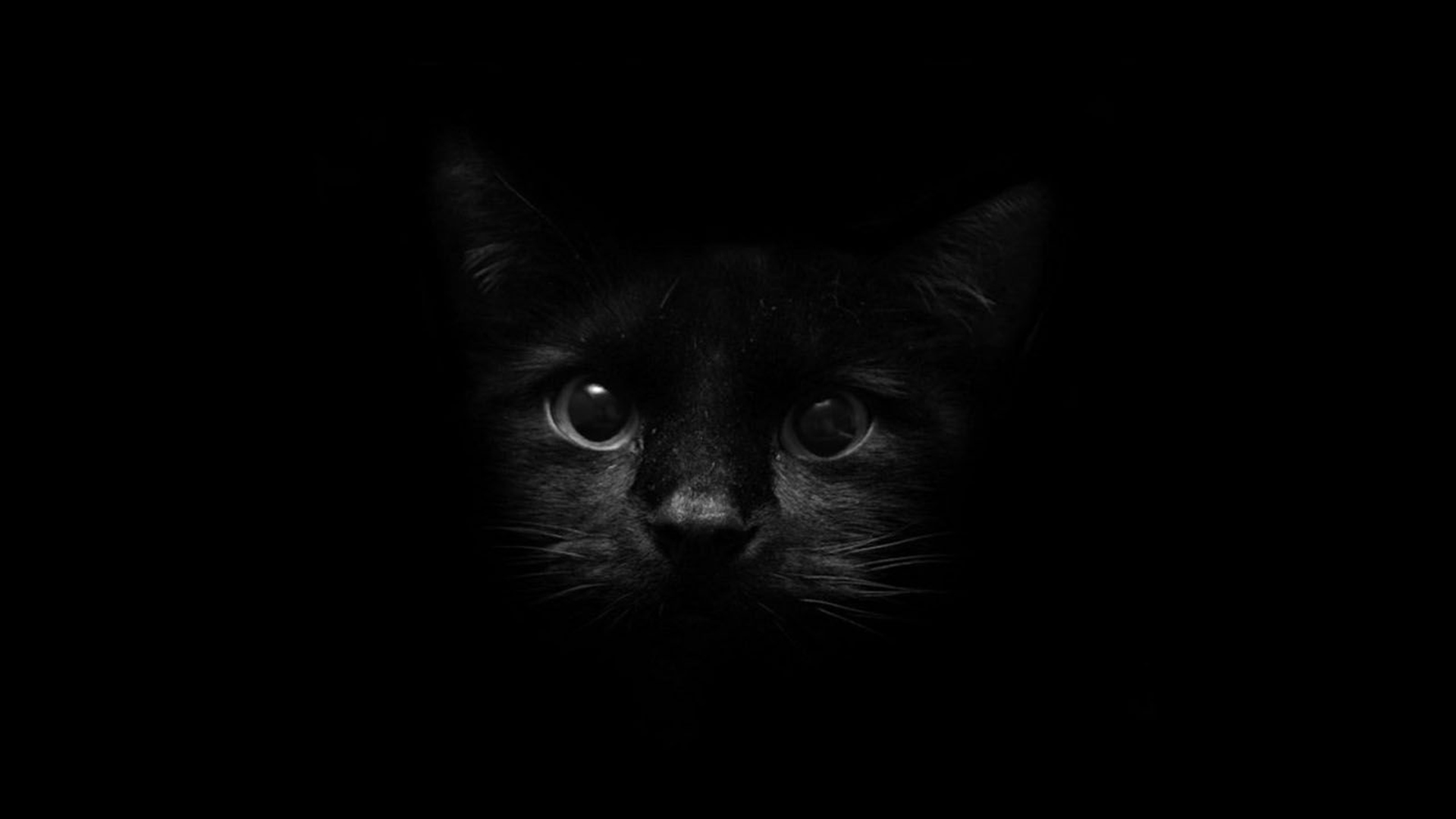 Kawaii Black Cat Wallpapers