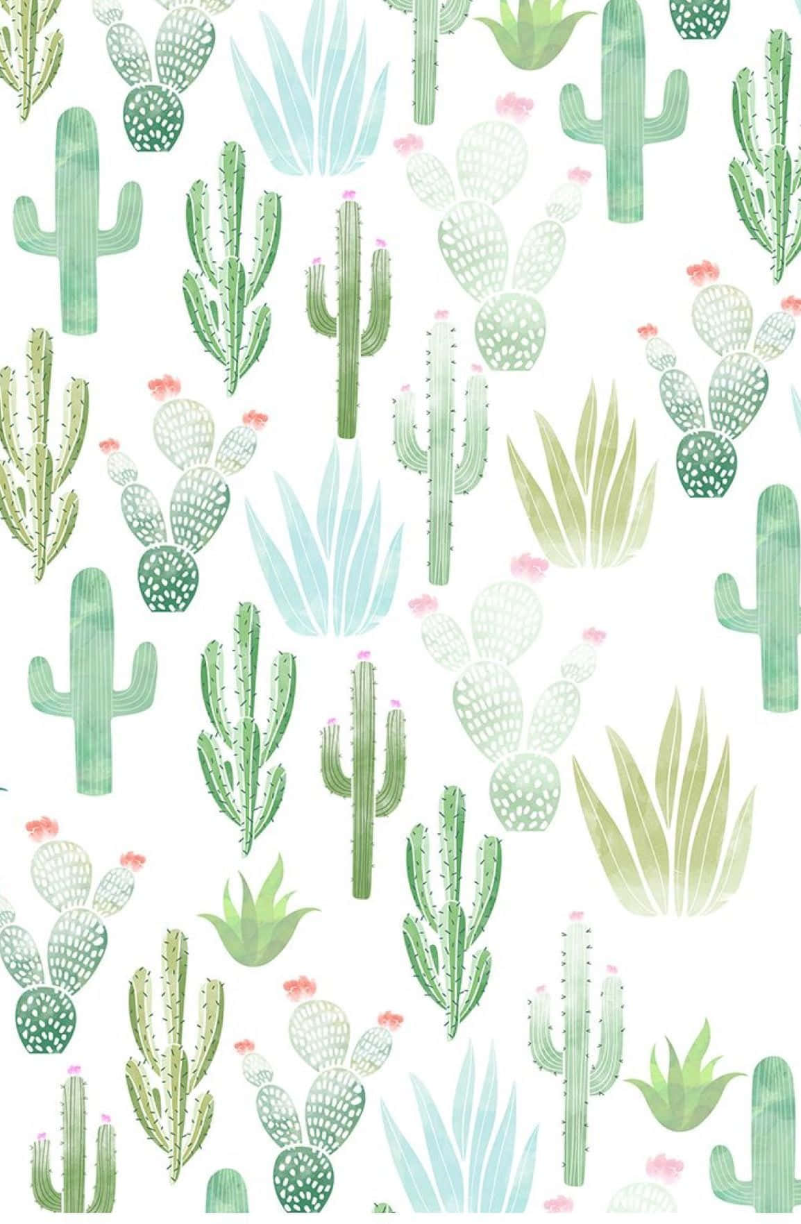 Kawaii Cactus Wallpapers