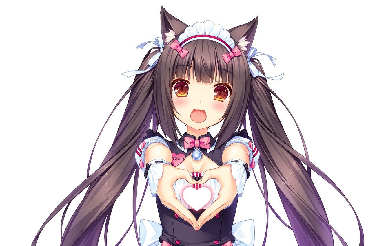 Kawaii Neko Girls Wallpapers