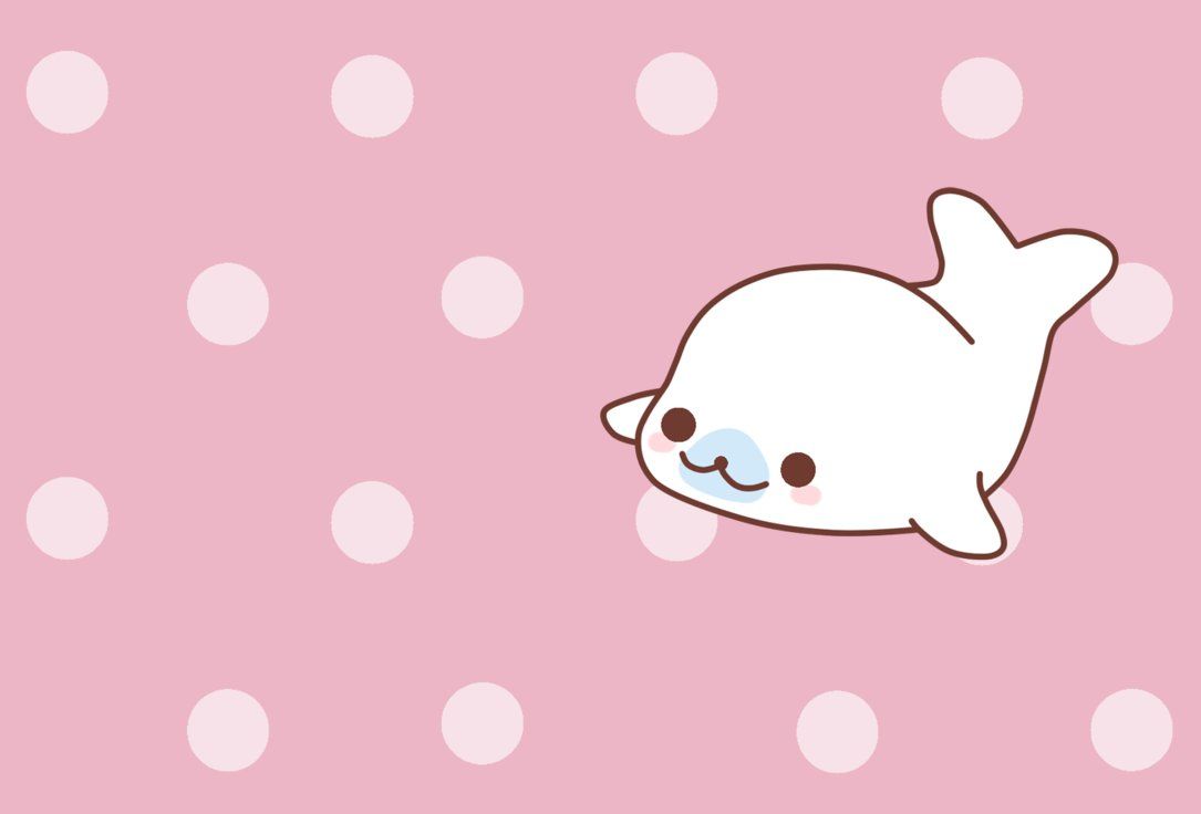 Kawaii Seal Wallpapers