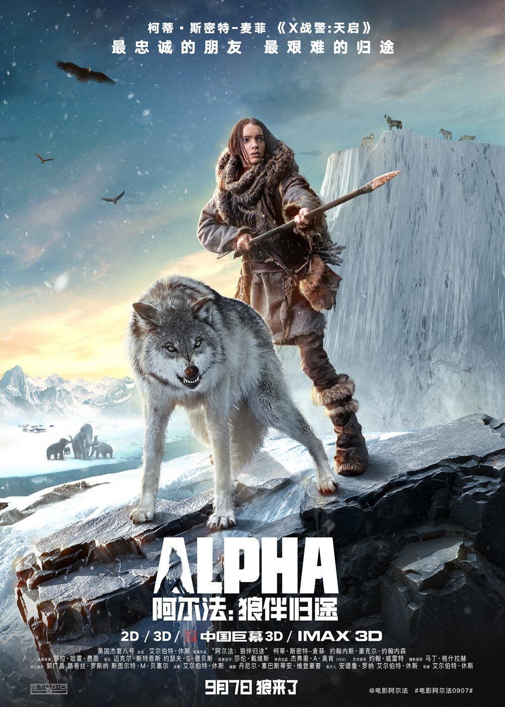 Keda And Wolf In Alpha 2018 Movie Wallpapers