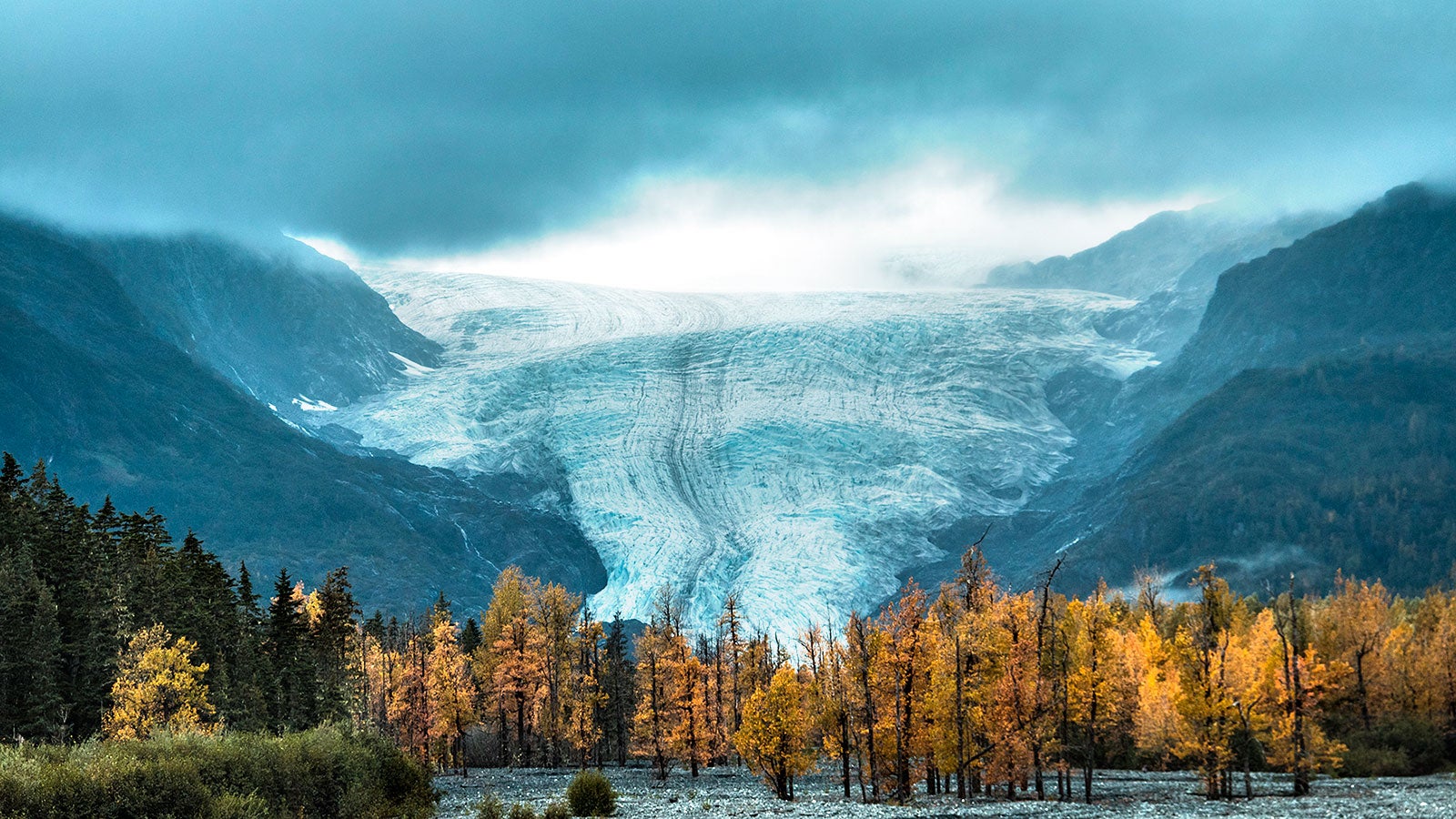 Kenai Fjords National Park Wallpapers