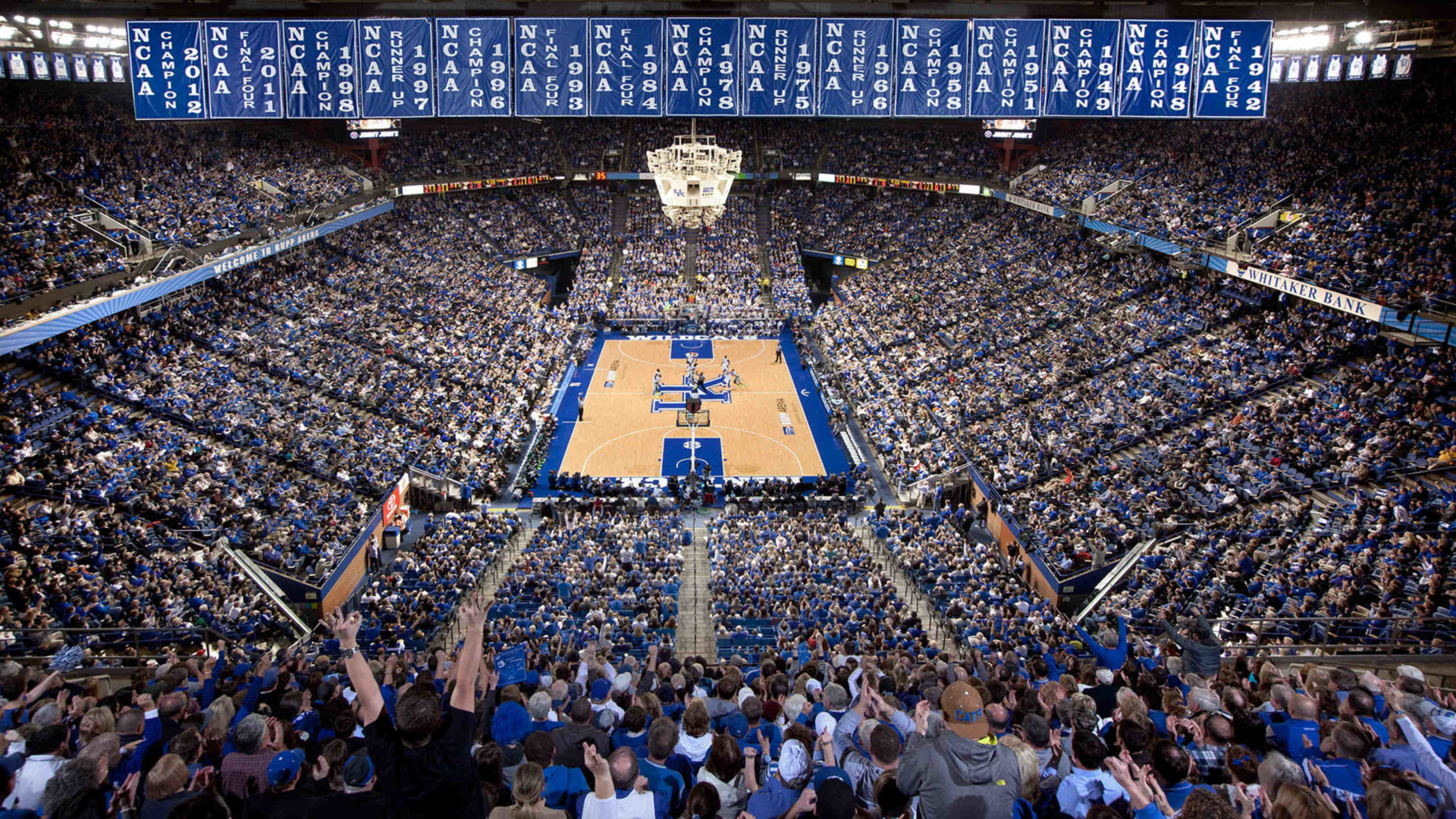 Kentucky Wildcats Wallpapers