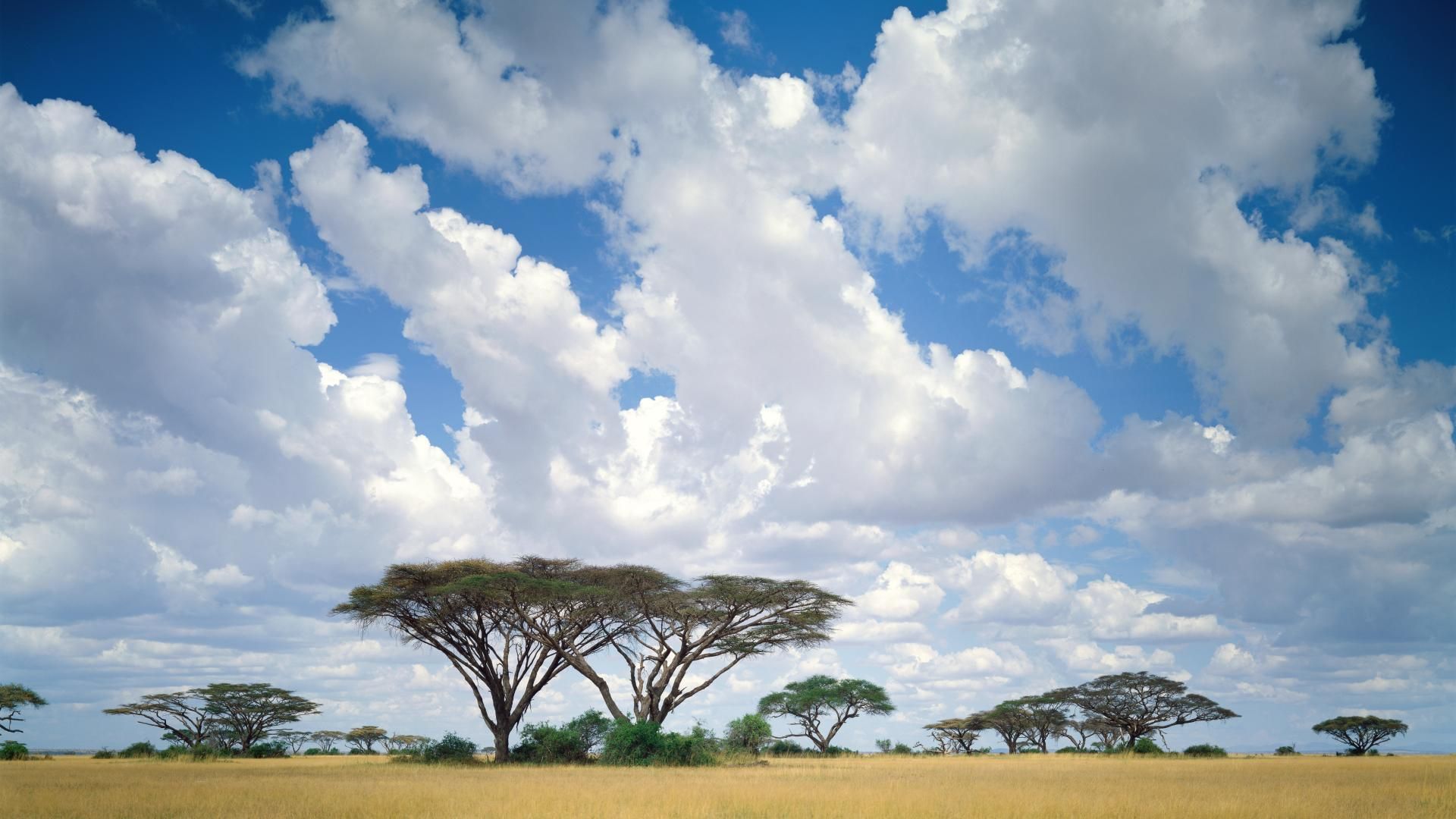 Kenya Wallpapers