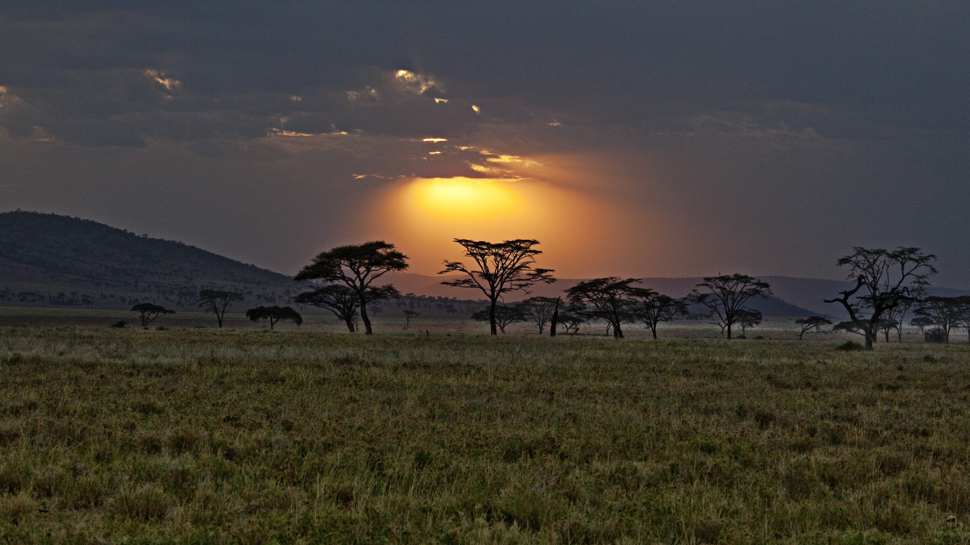 Kenya Wallpapers