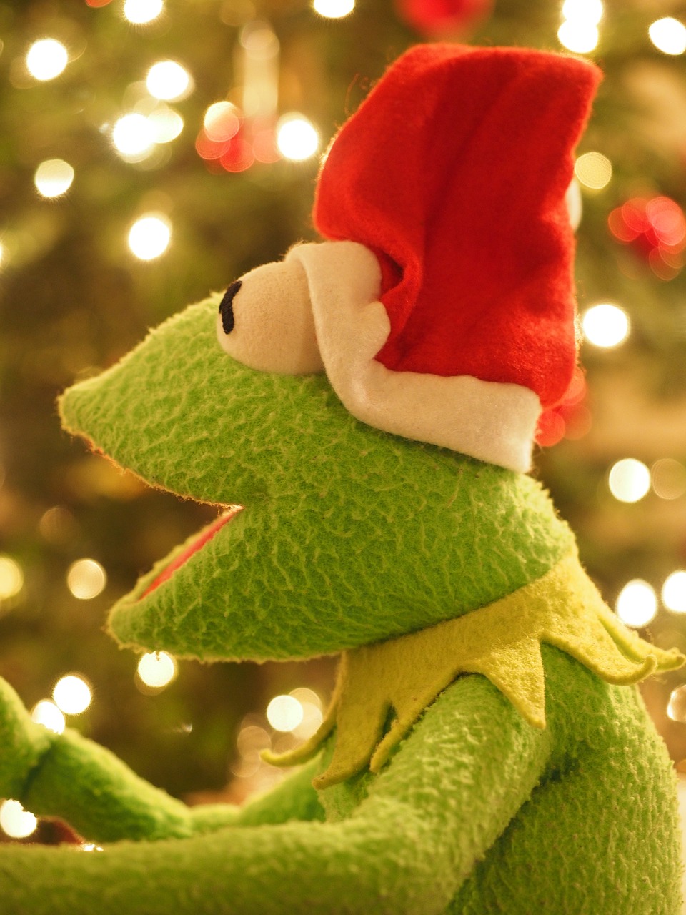 Kermit Background