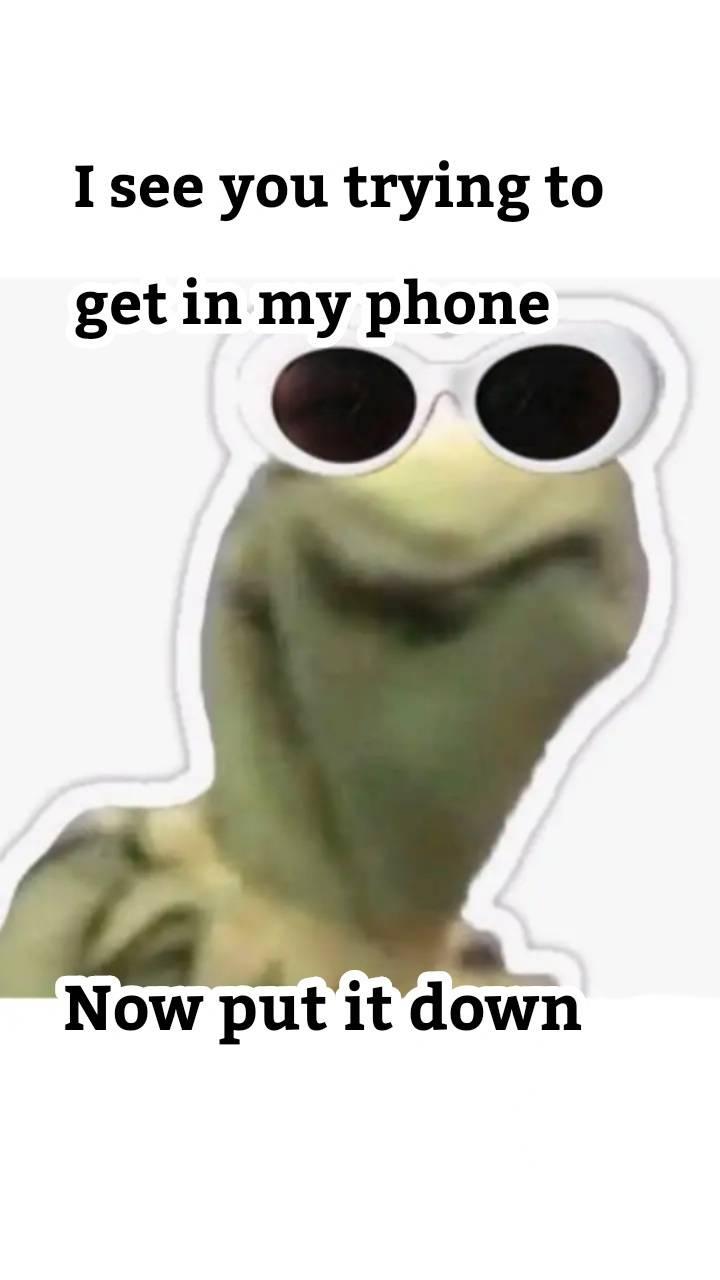 Kermit Meme Wallpapers