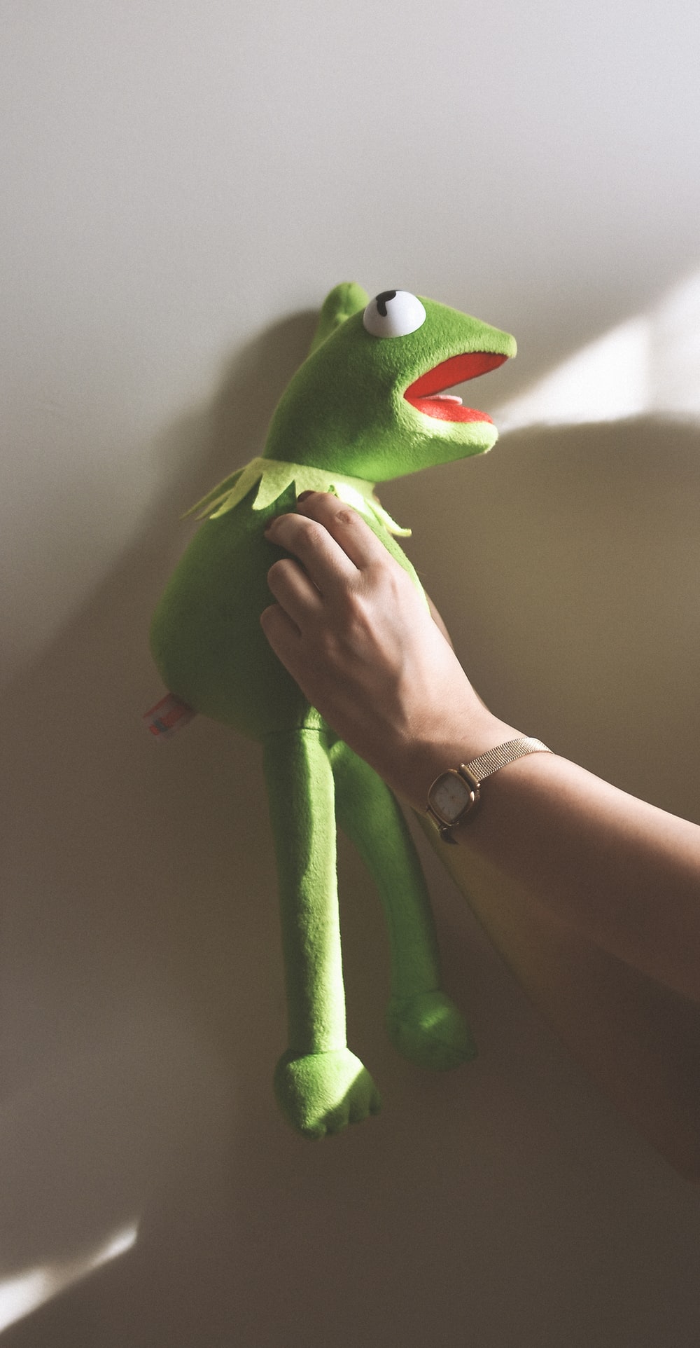 Kermit The Frog Wallpapers