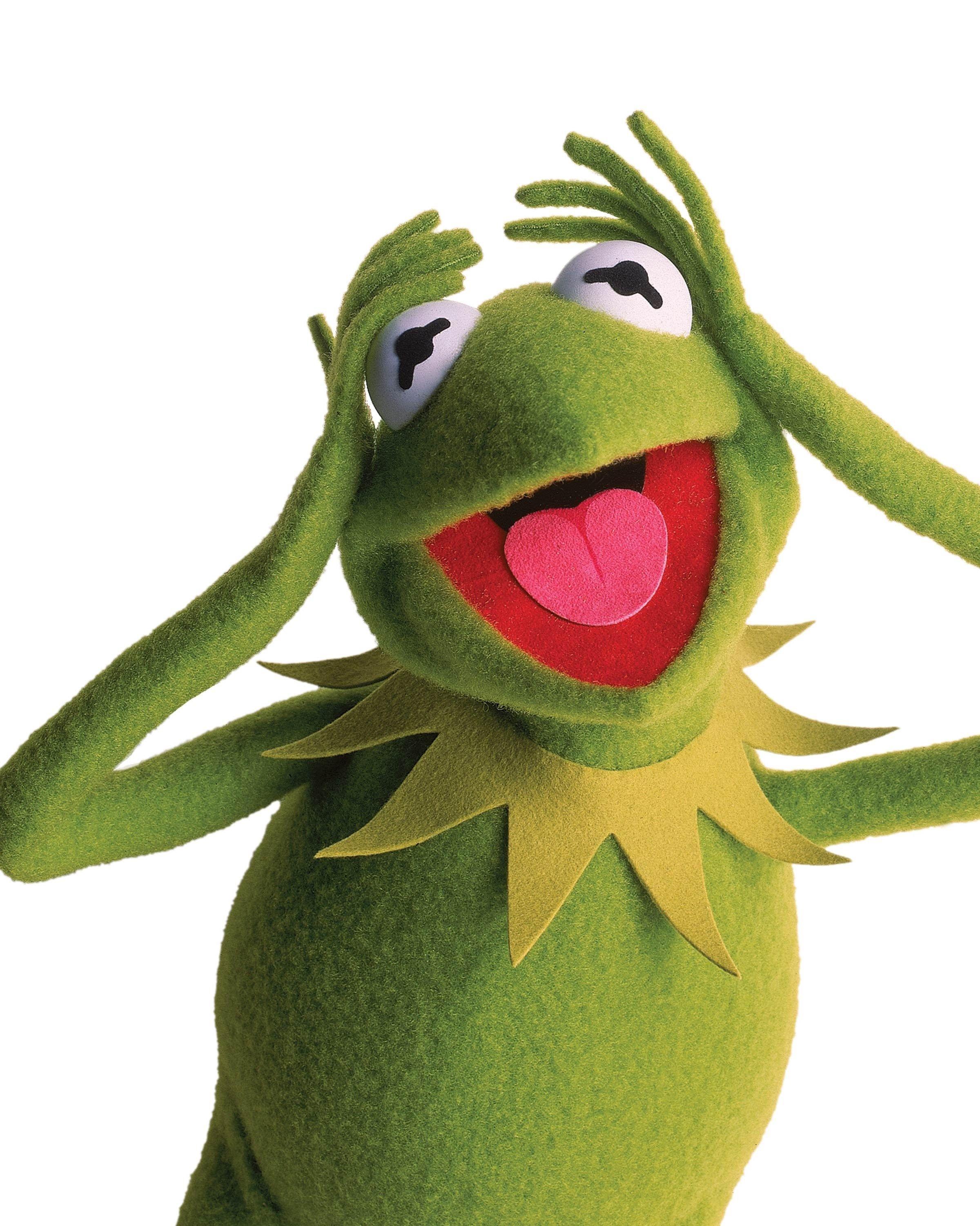 Kermit The Frog Wallpapers