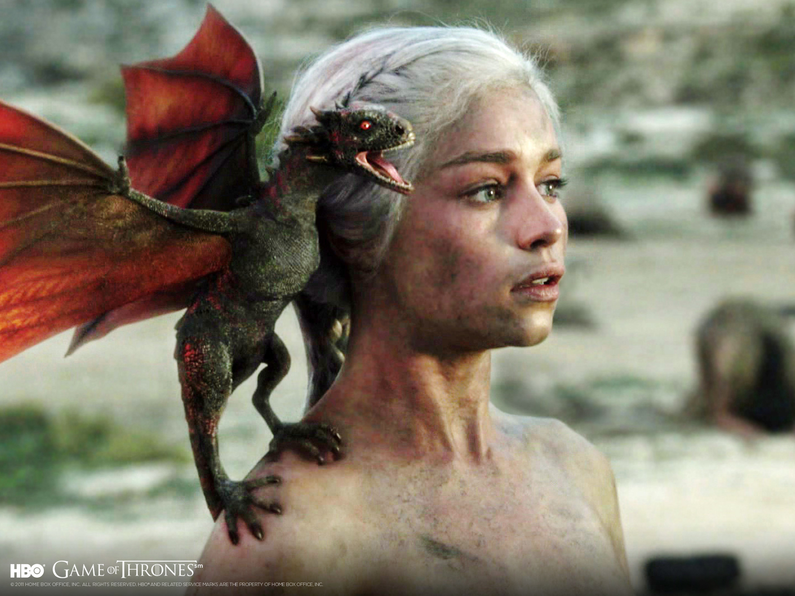 Khaleesi With Dragon Game Of Thrones Wallpapers