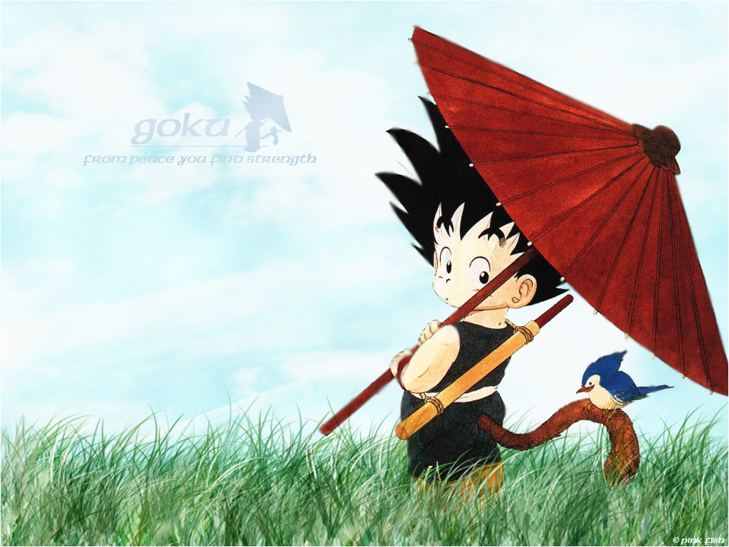 Kid Goku Dragon Ball Z Wallpapers