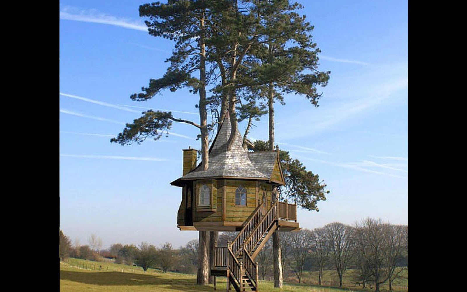 Kids Tree House
 Wallpapers