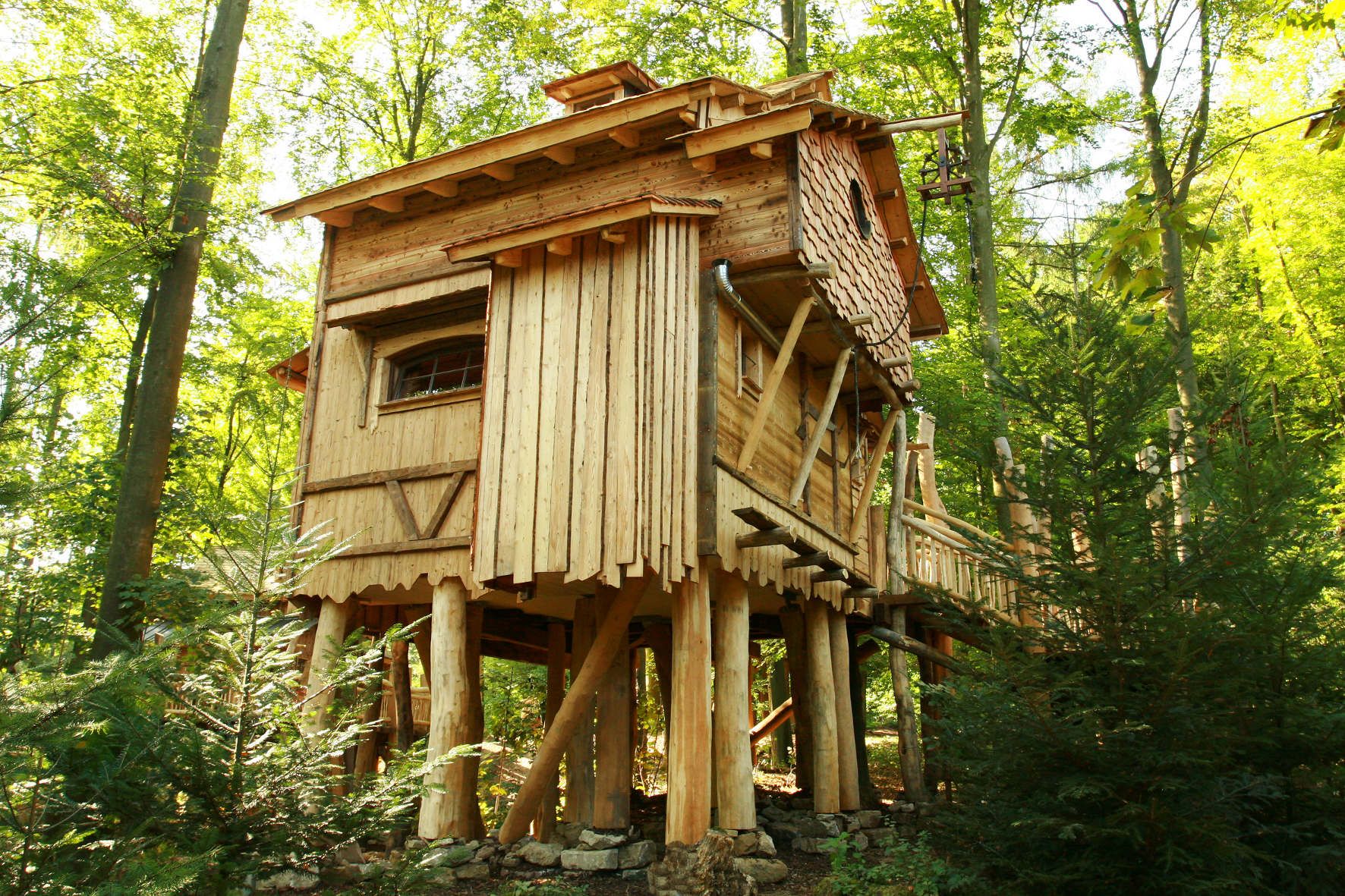 Kids Tree House
 Wallpapers