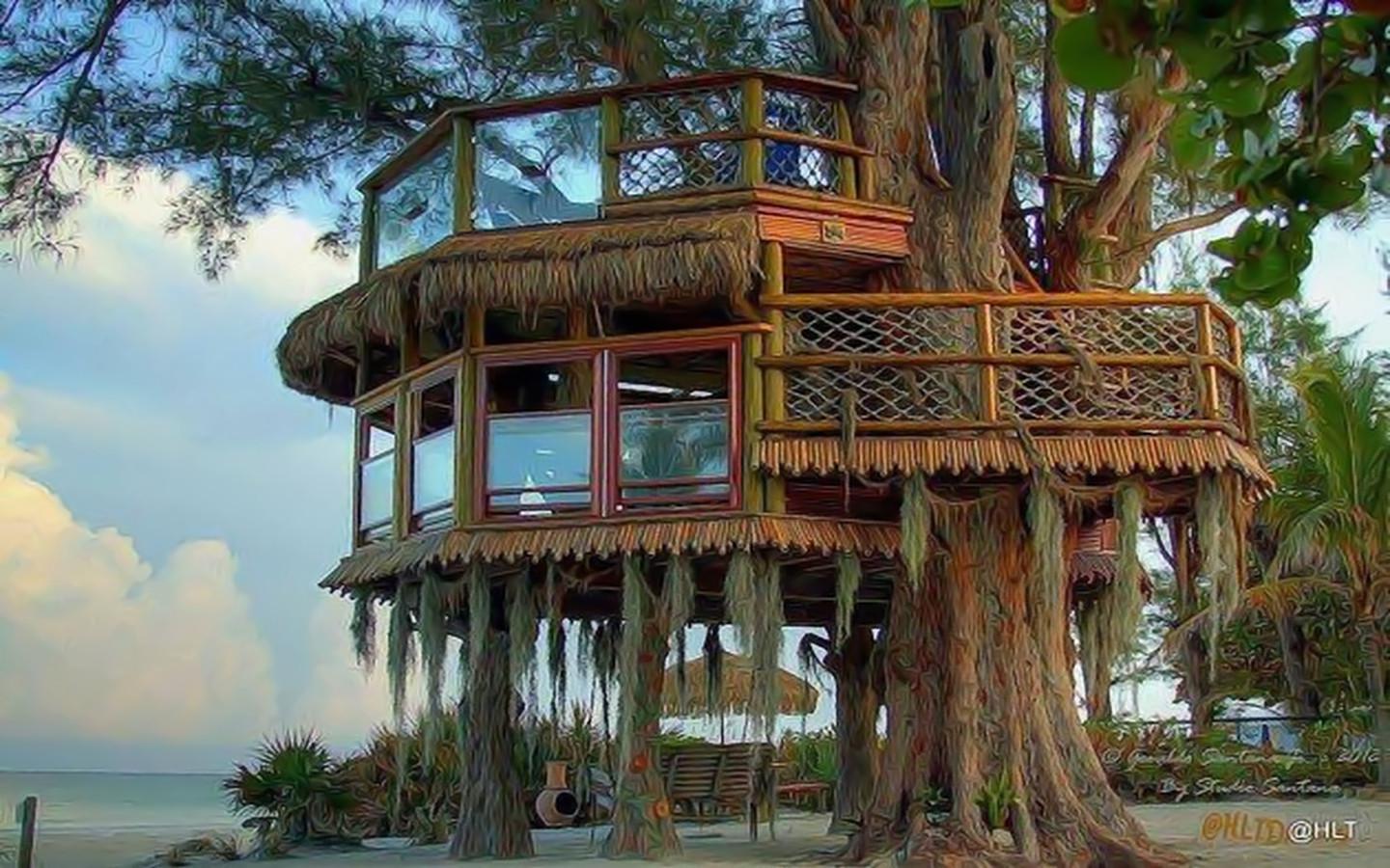 Kids Tree House
 Wallpapers