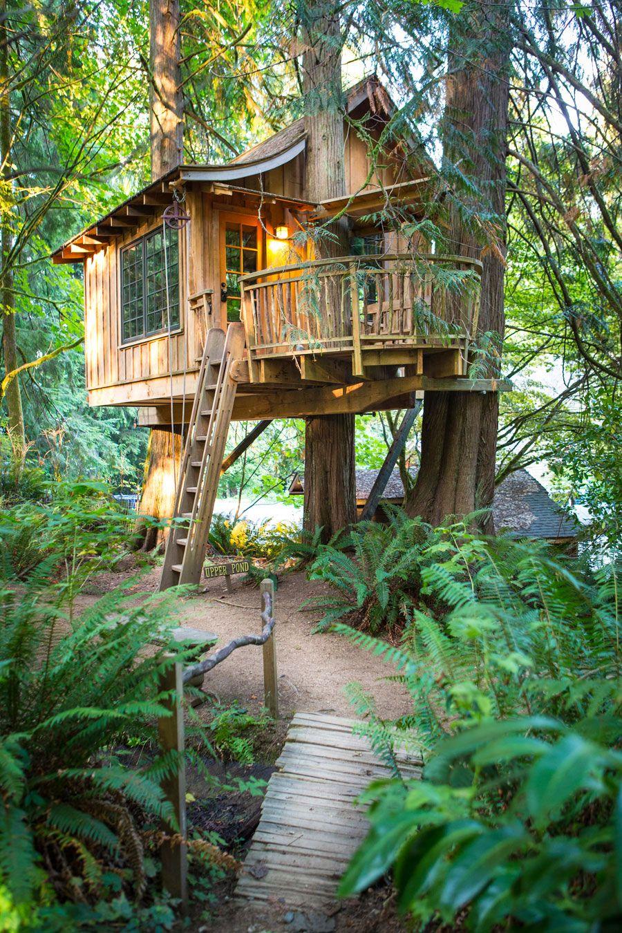 Kids Tree House
 Wallpapers