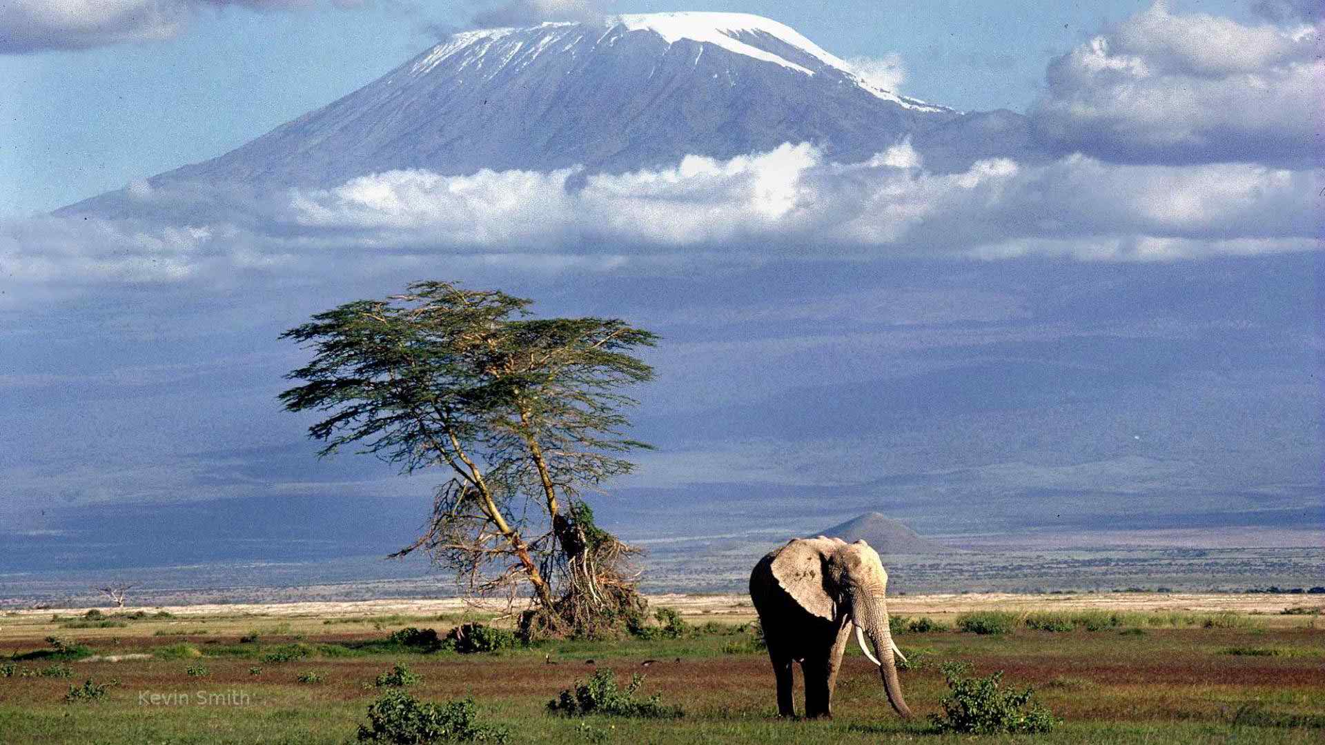 Kilimanjaro Wallpapers