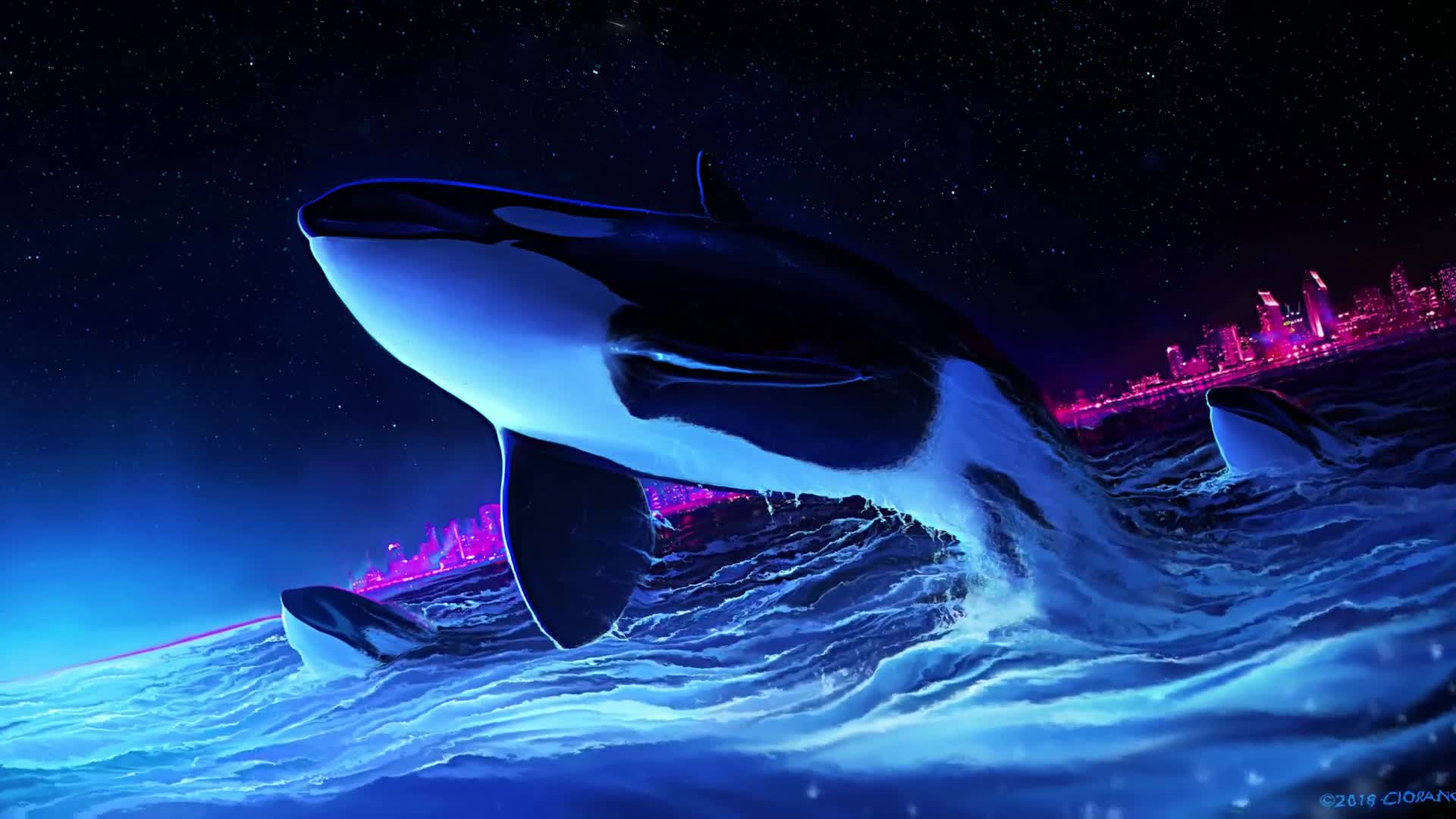 Killer Whale Wallpapers