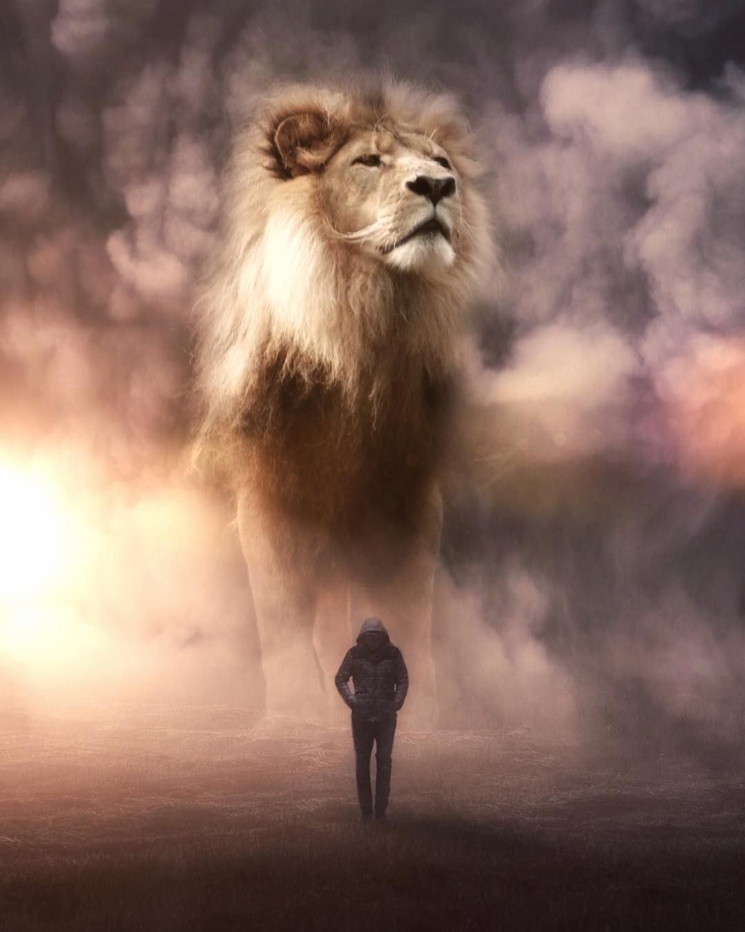 King Jesus Lion Wallpapers