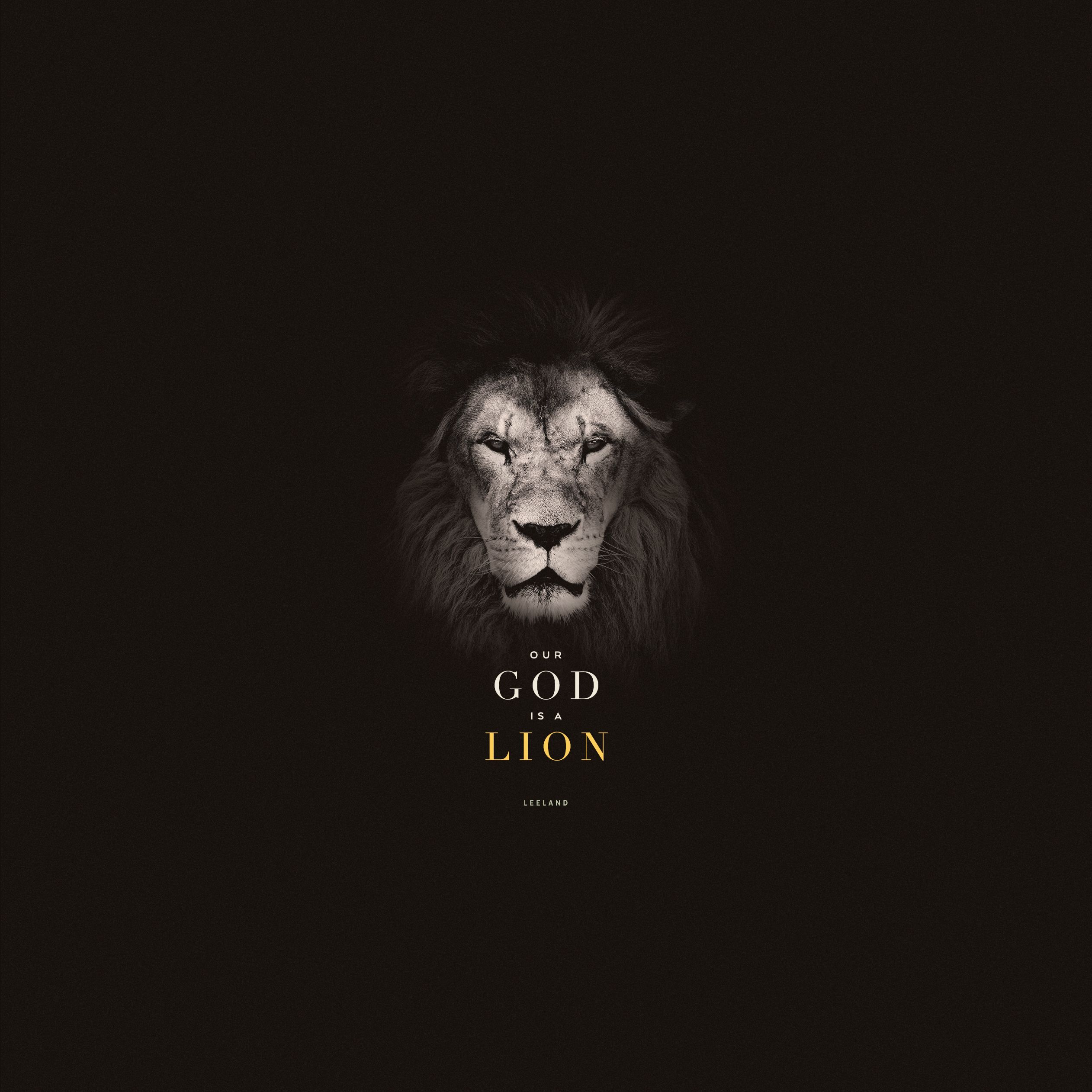 King Jesus Lion Wallpapers