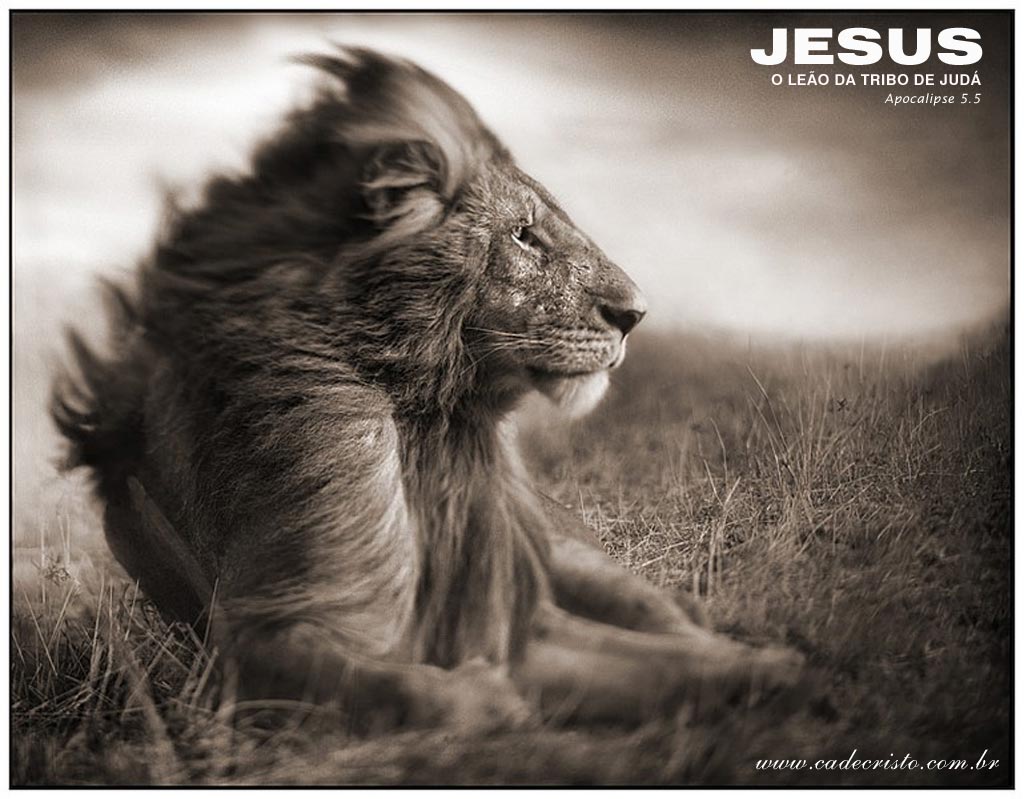 King Jesus Lion Wallpapers