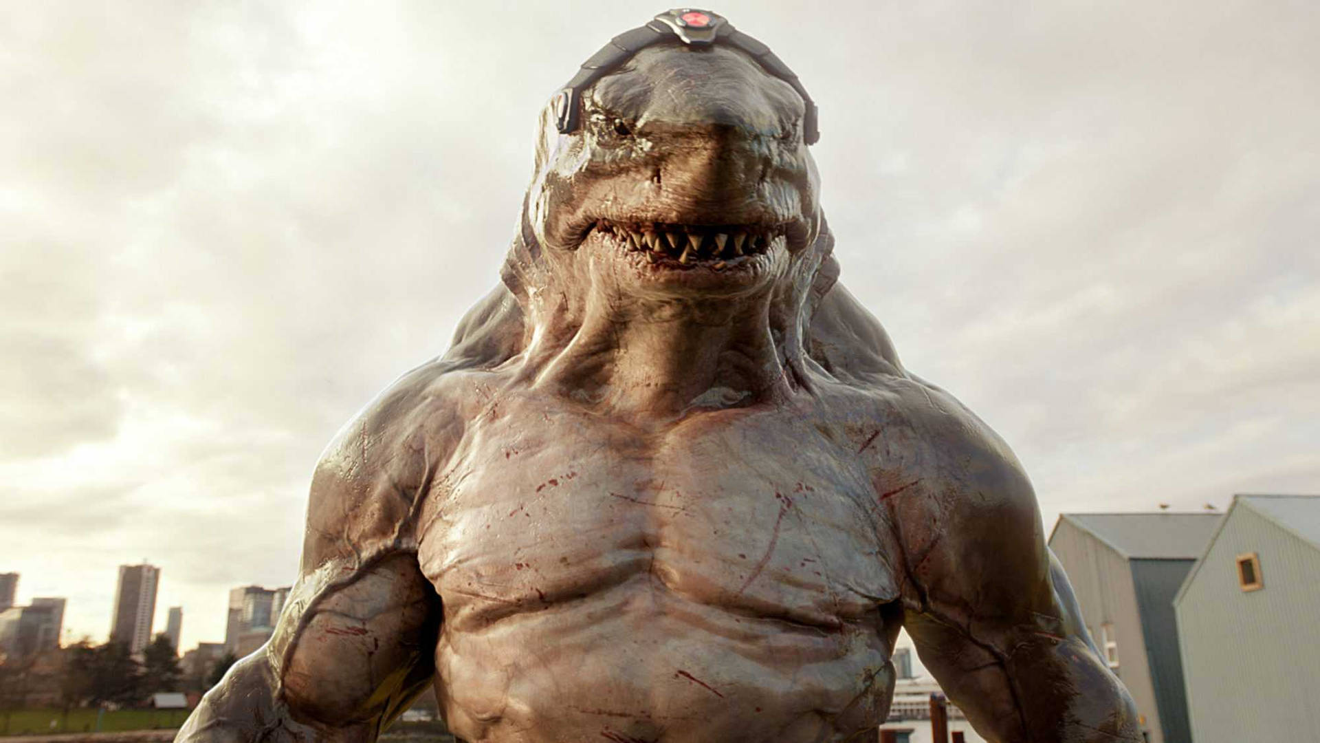 King Shark The Suicide Squad Wallpapers