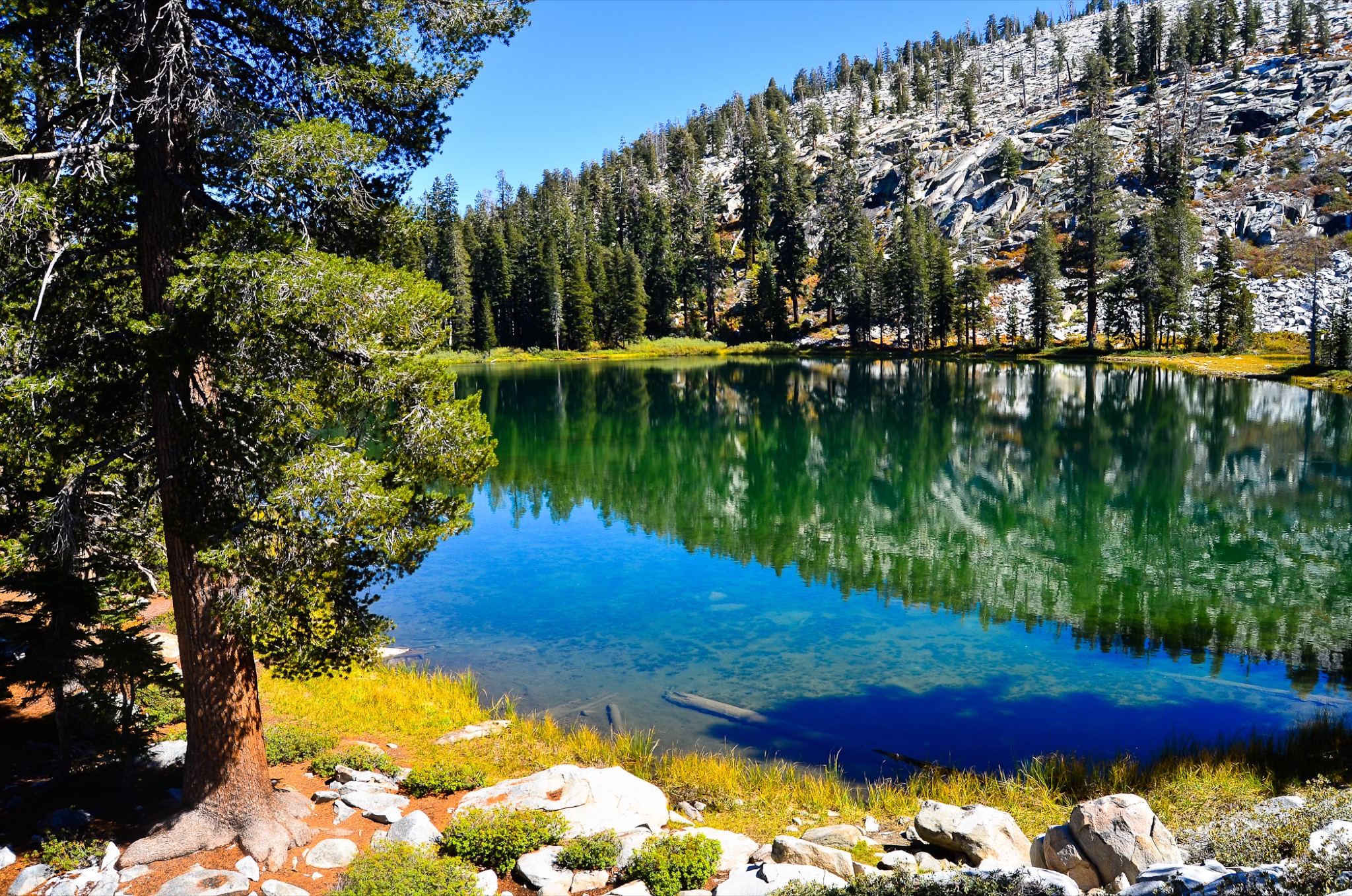 Kings Canyon National Park Wallpapers