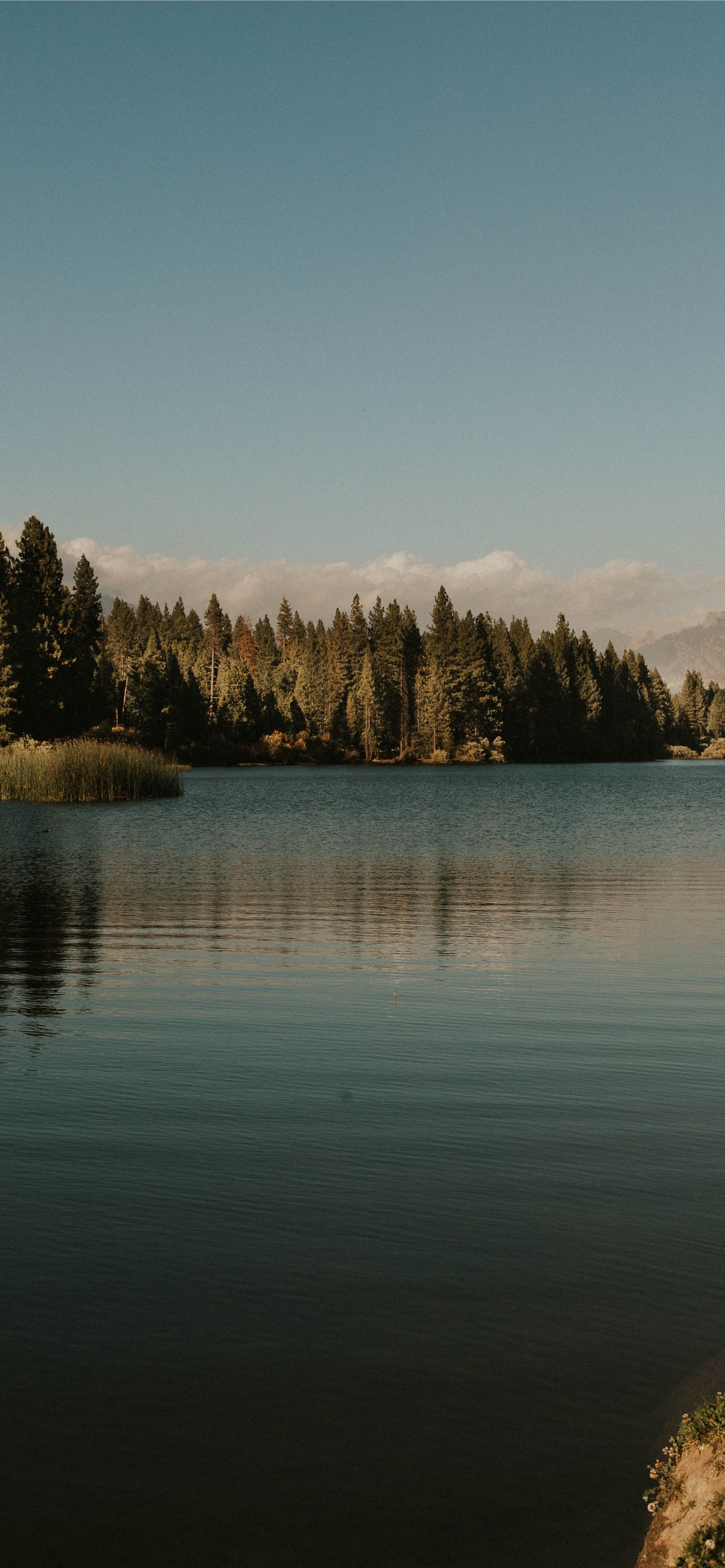 Kings Canyon National Park Wallpapers