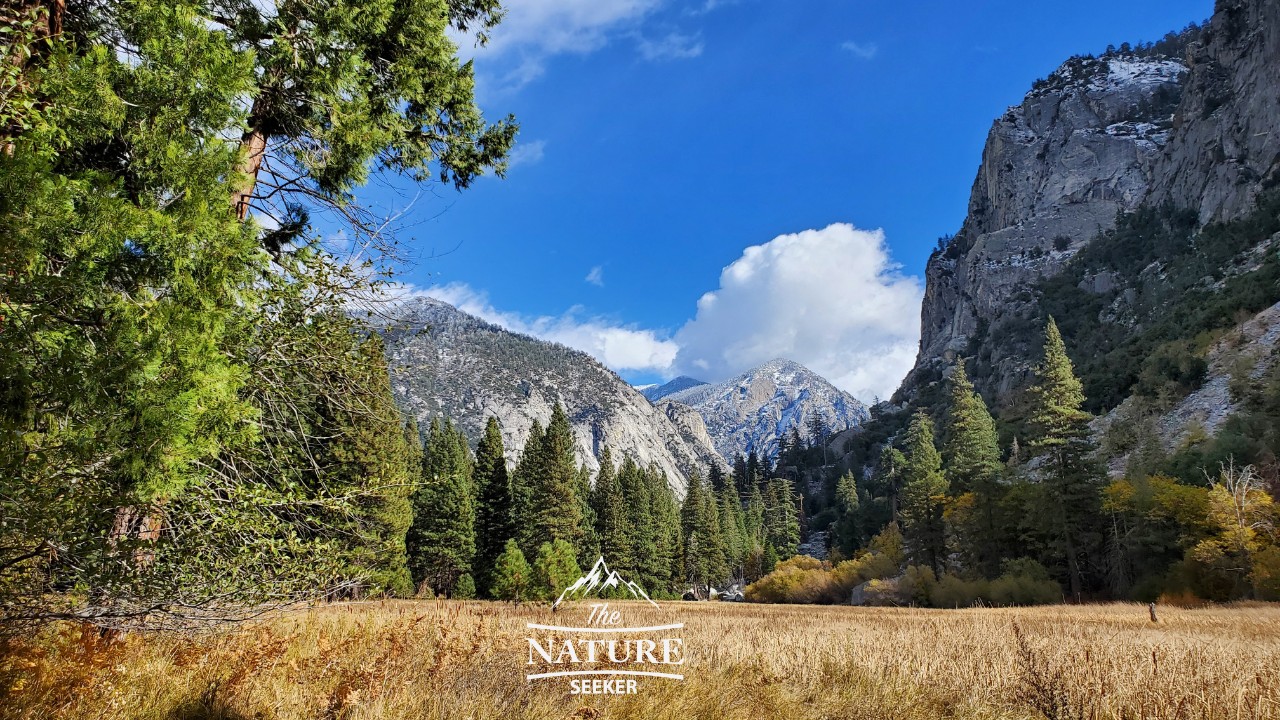 Kings Canyon National Park Wallpapers