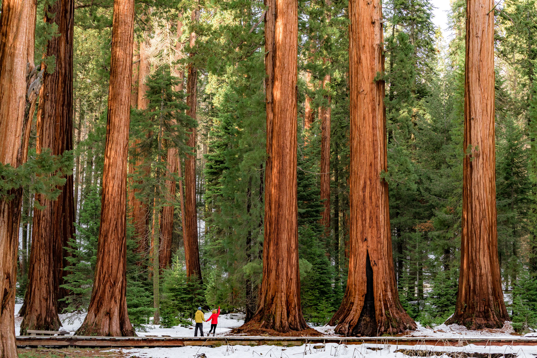 Kings Canyon National Park Wallpapers