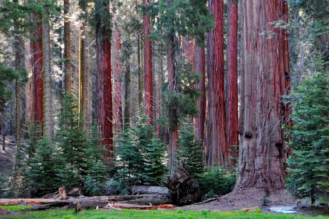 Kings Canyon National Park Wallpapers