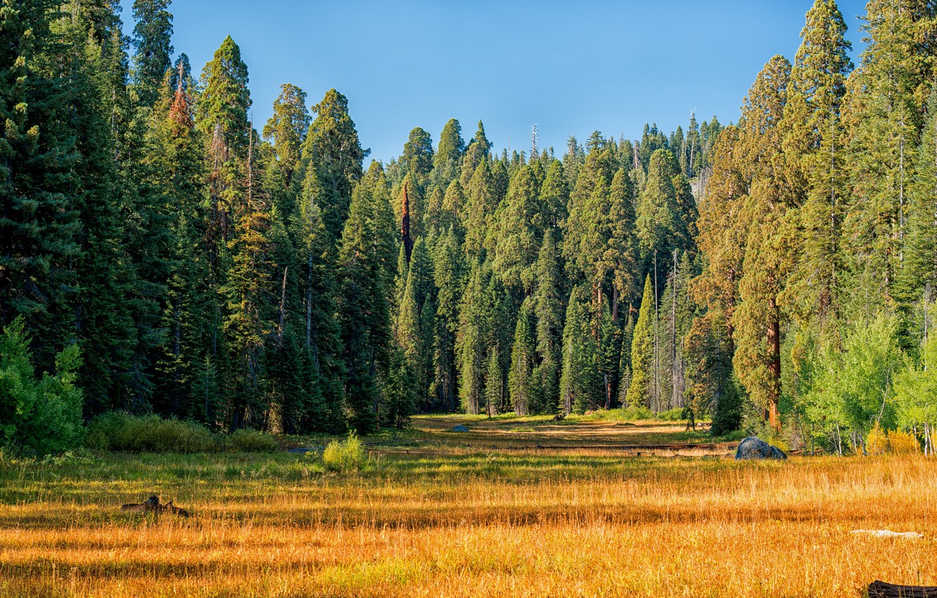 Kings Canyon National Park Wallpapers