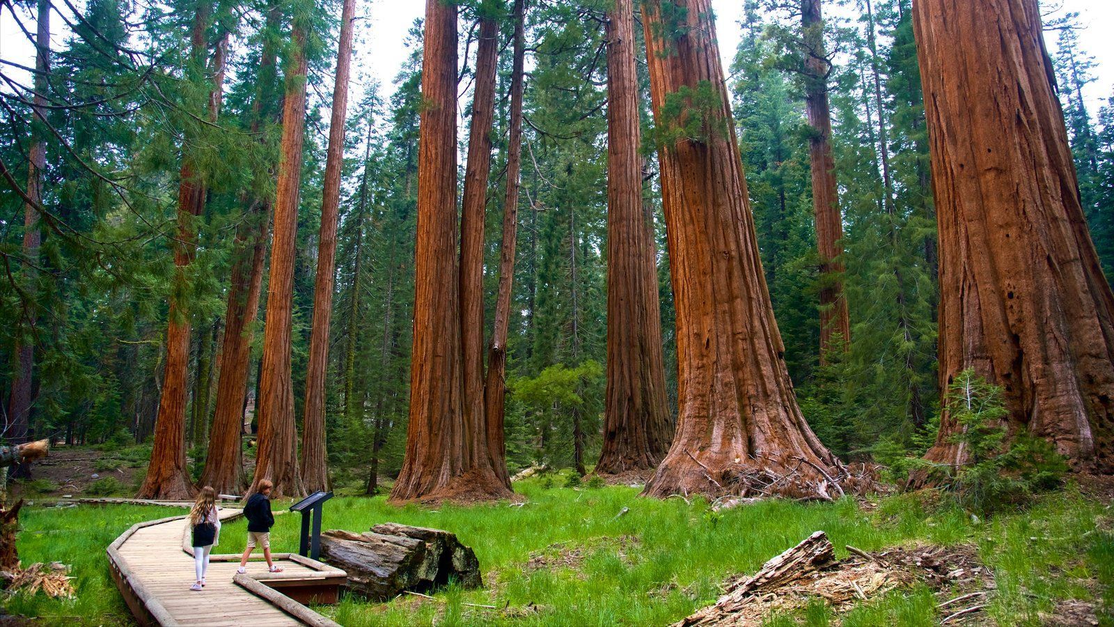 Kings Canyon National Park Wallpapers