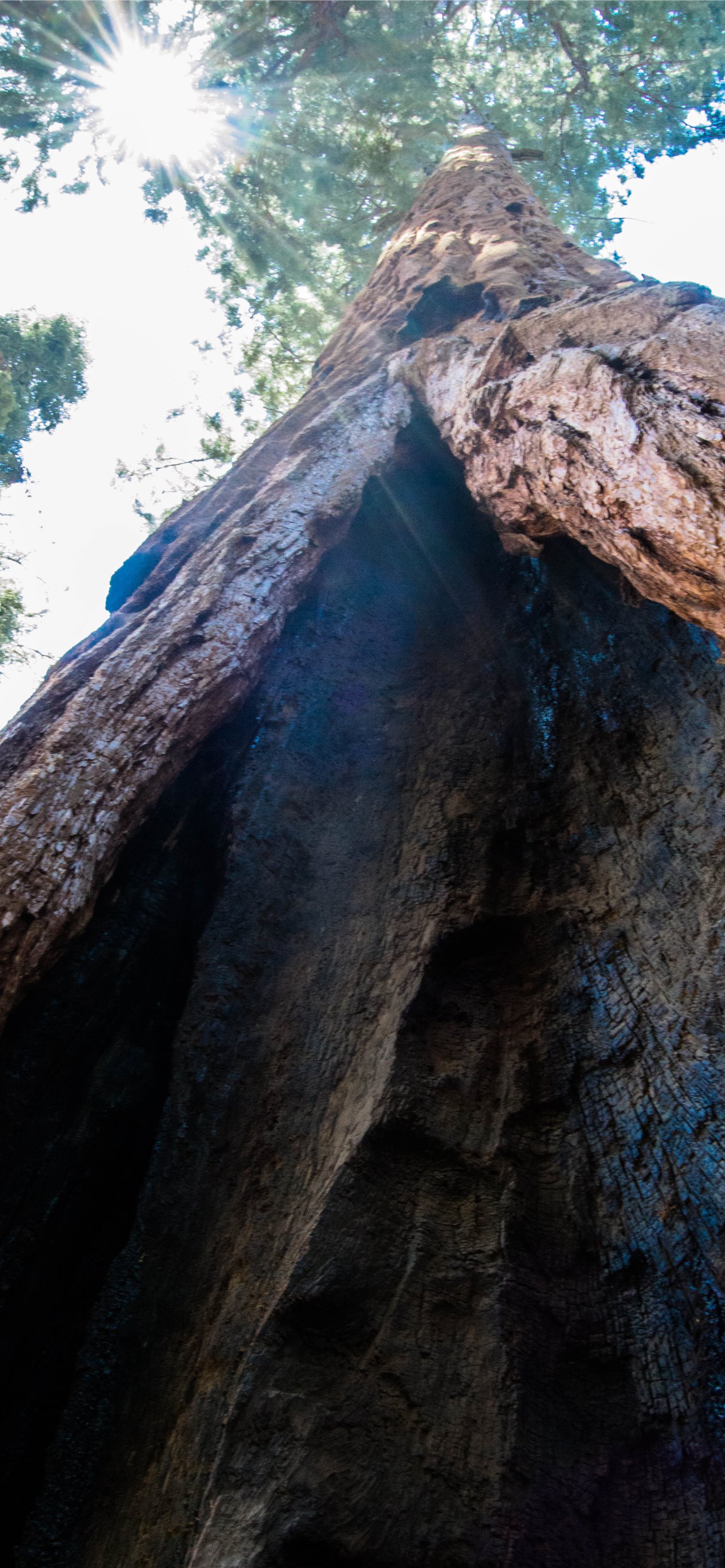 Kings Canyon National Park Wallpapers