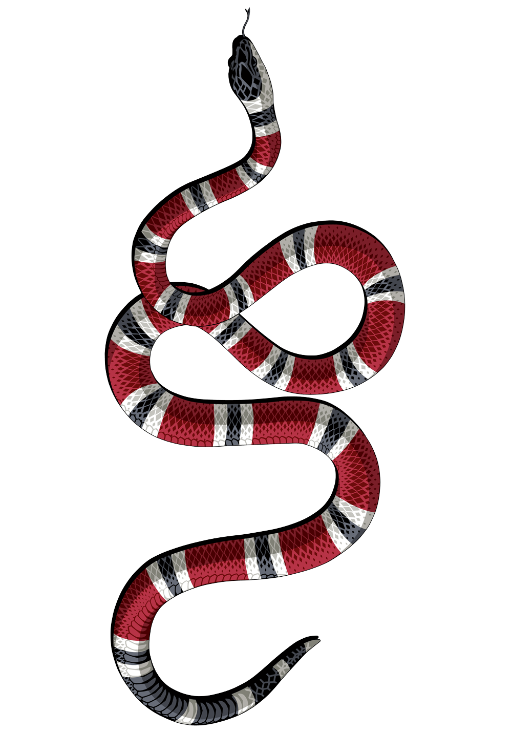 Kingsnakes Wallpapers