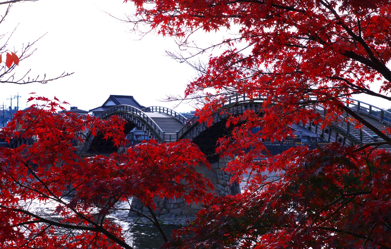 Kintai Bridge Wallpapers