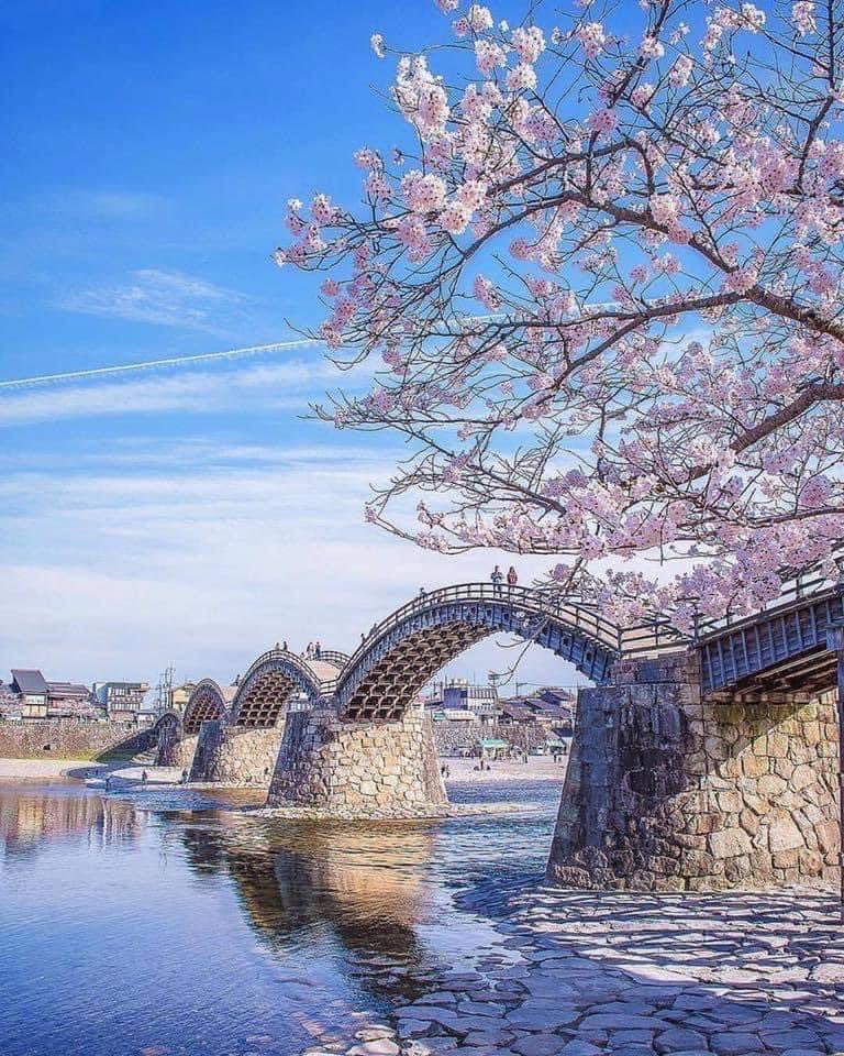 Kintai Bridge Wallpapers