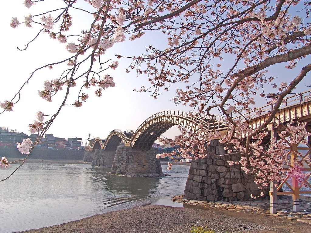 Kintai Bridge Wallpapers