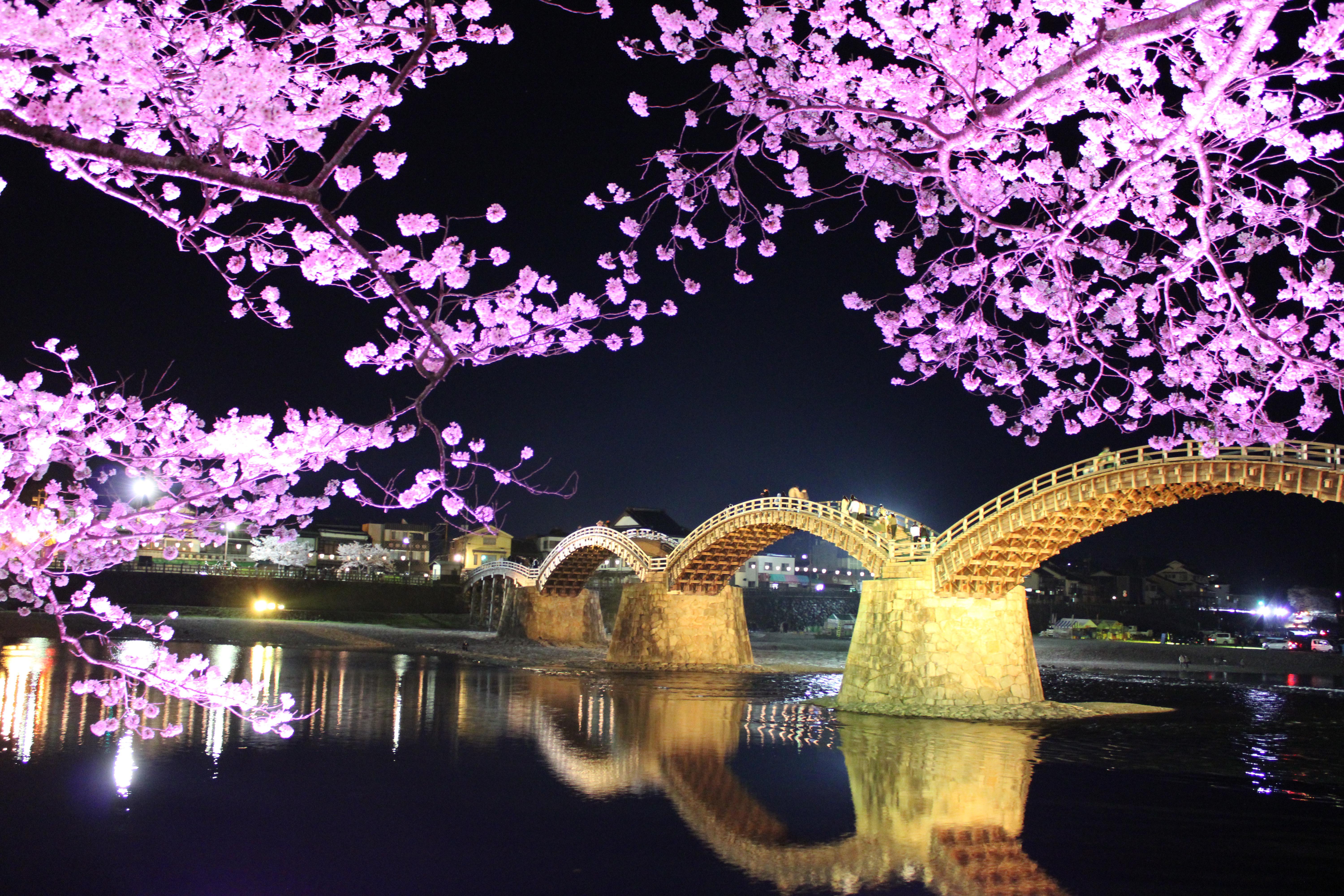 Kintai Bridge Wallpapers