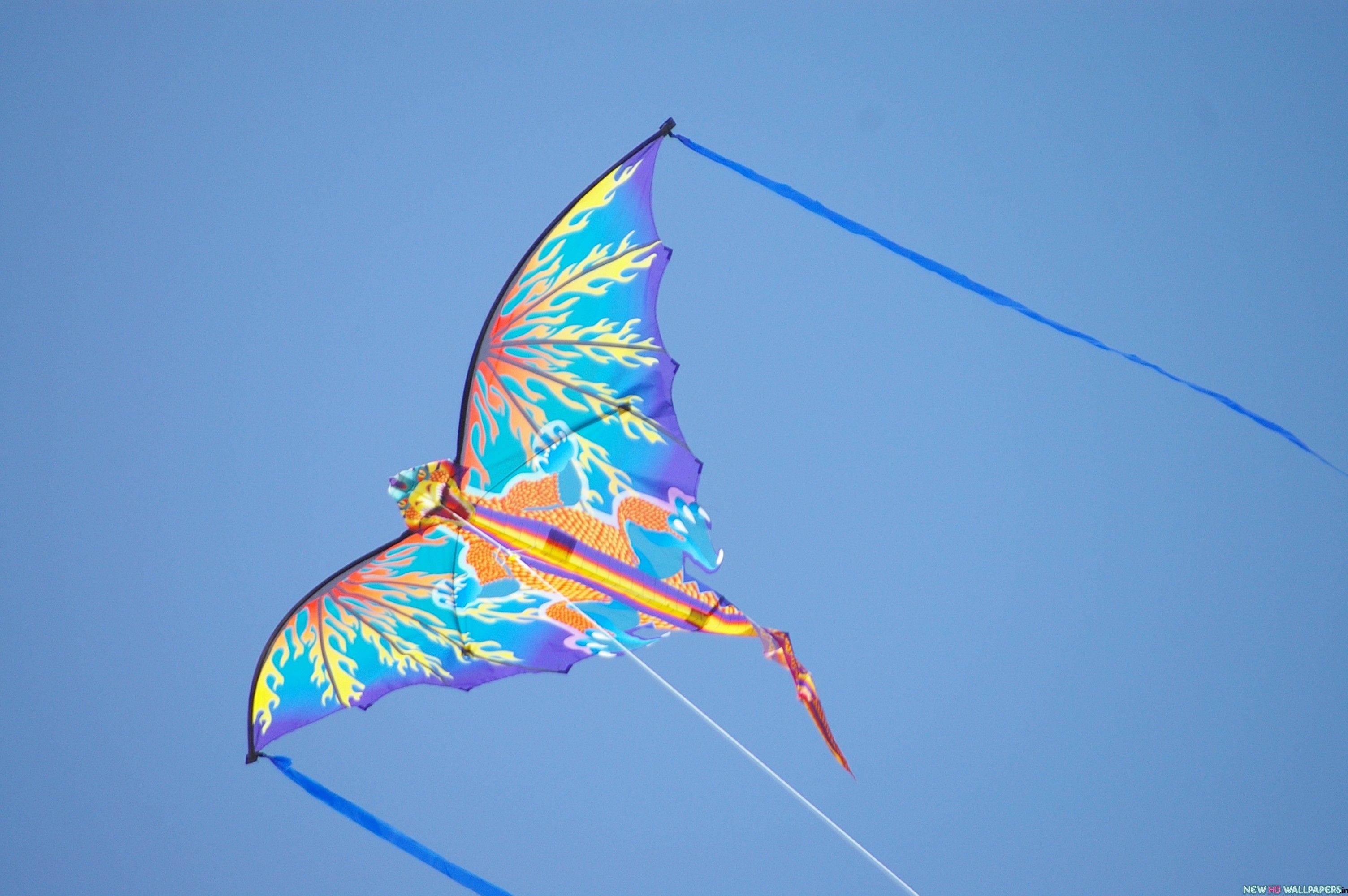 Kite Wallpapers