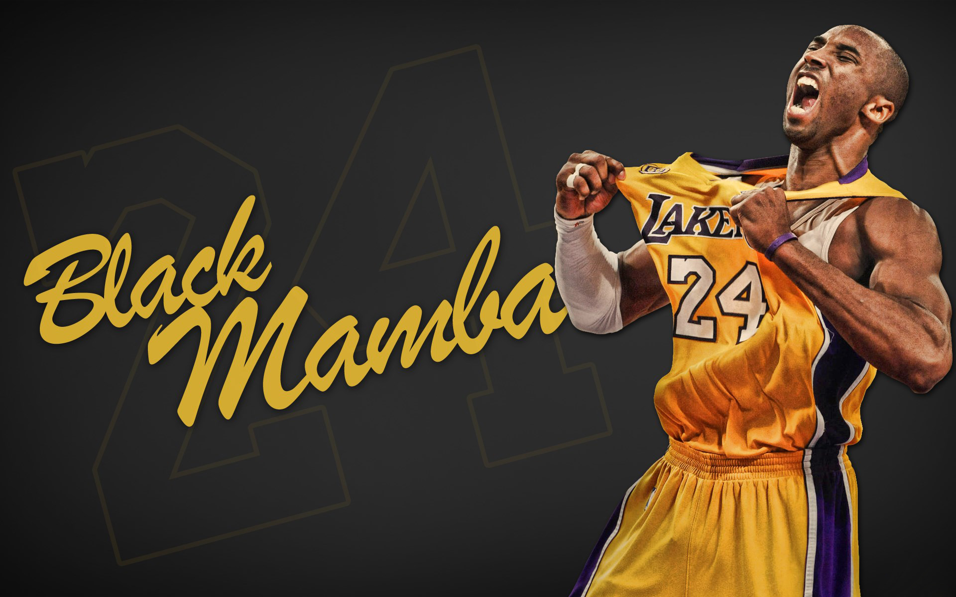 Kobe Bryant Black Mamba Wallpapers