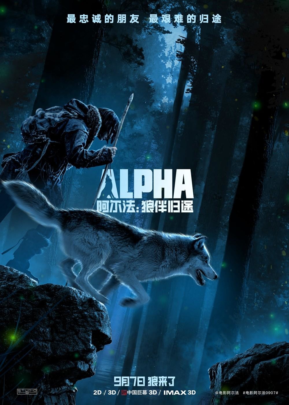 Kodi Smit-Mcphee And Wolf Still From Alpha 2018 Movie Wallpapers