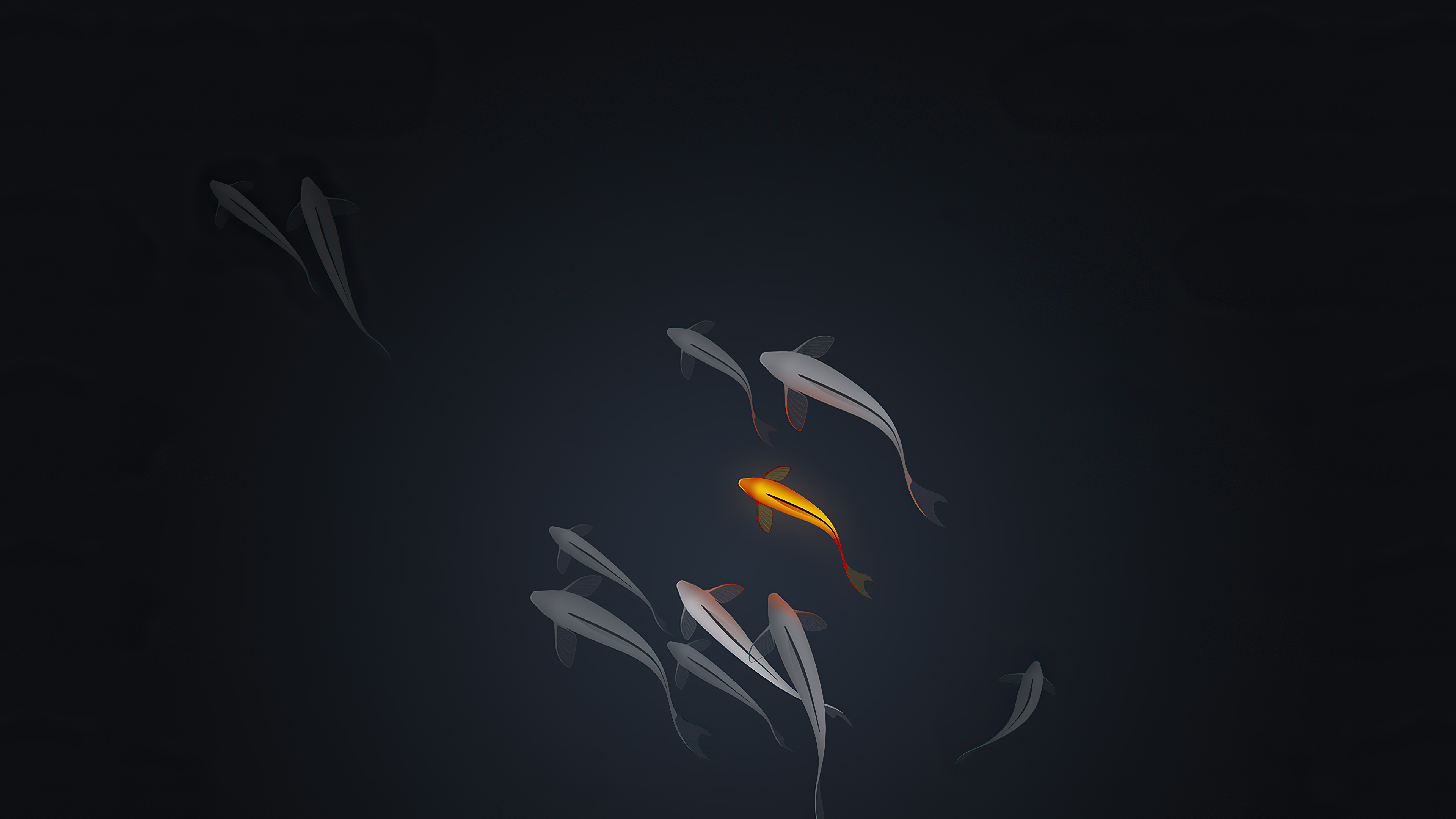 Koi Fish 4K Wallpapers